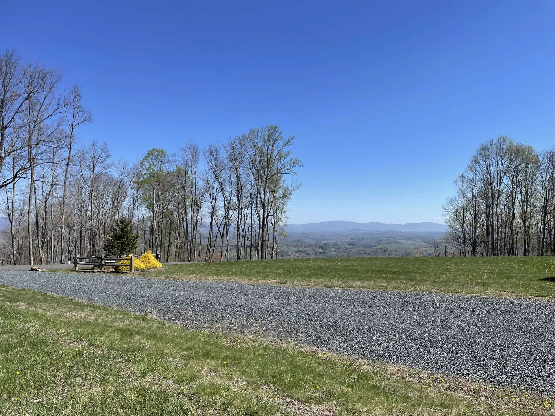 Image number 6 for the current listing