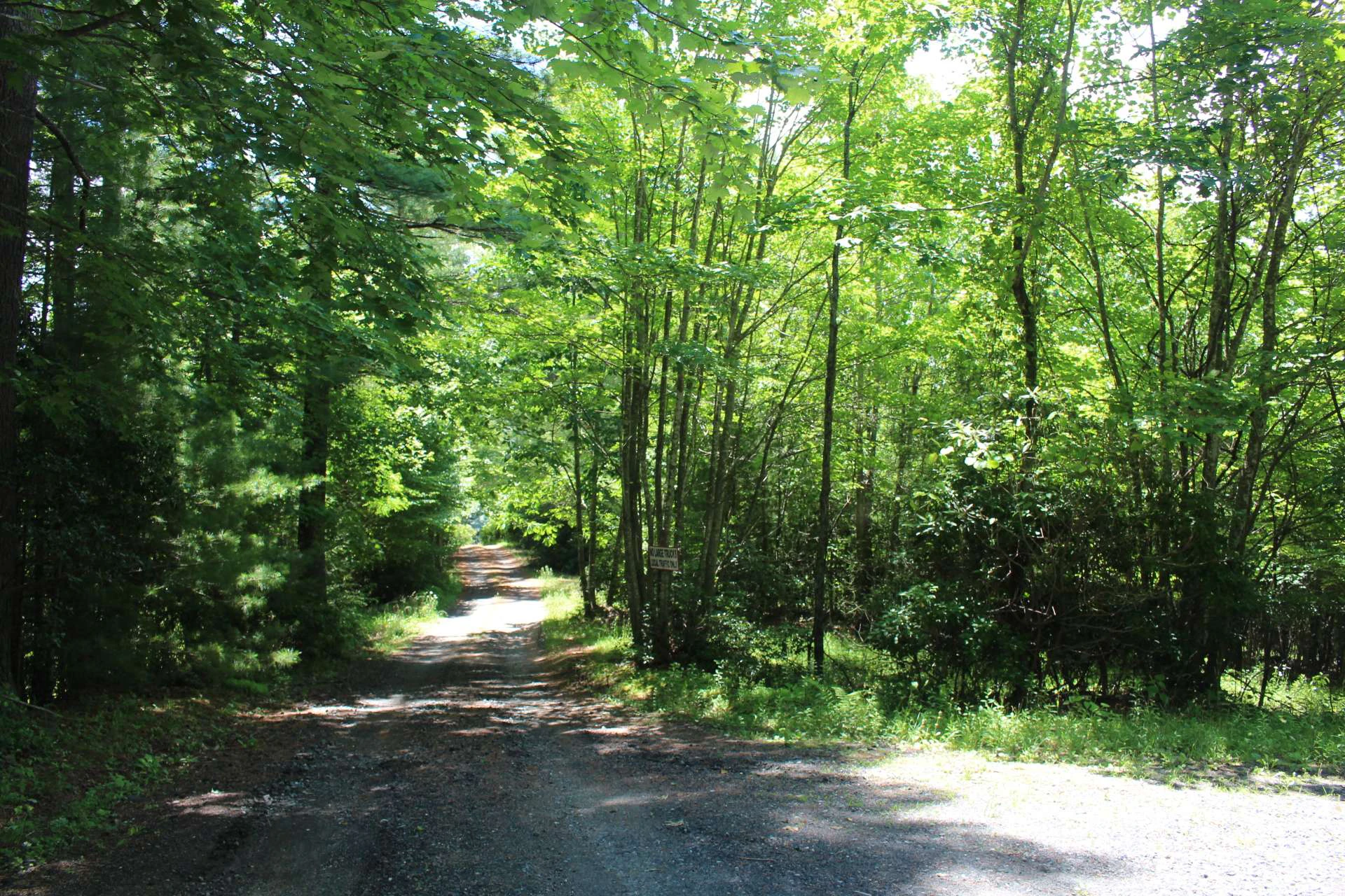 Image number 10 for the current listing