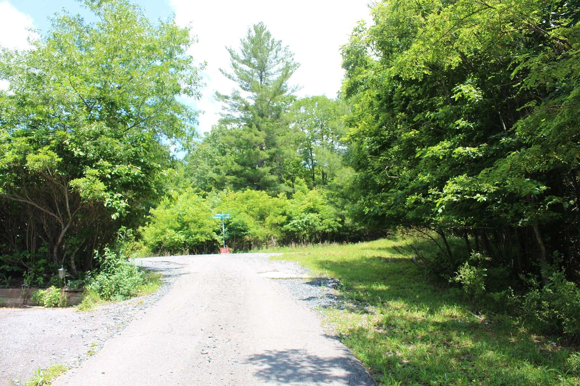 Image number 6 for the current listing