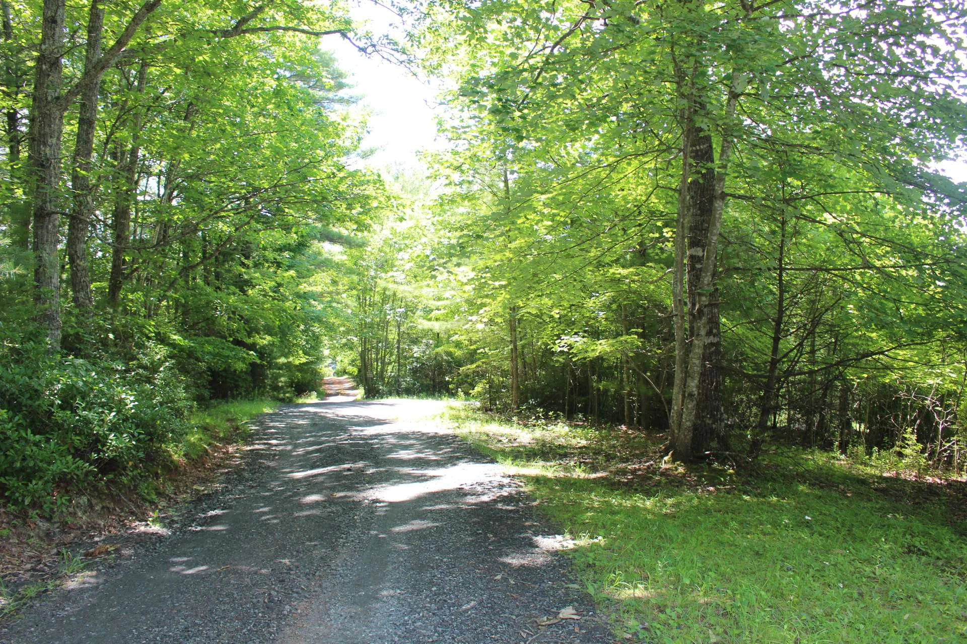 Image number 2 for the current listing