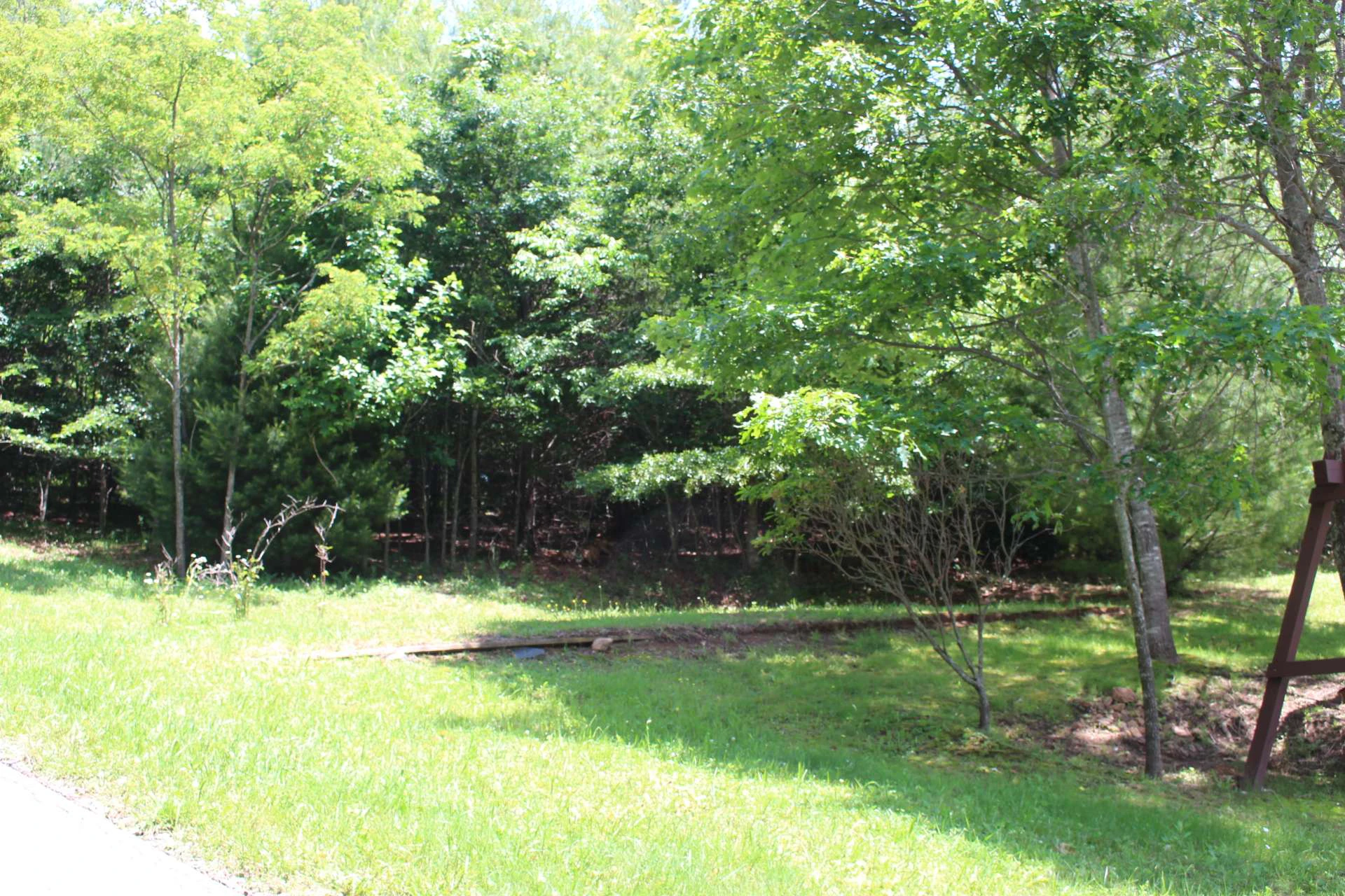 Image number 4 for the current listing