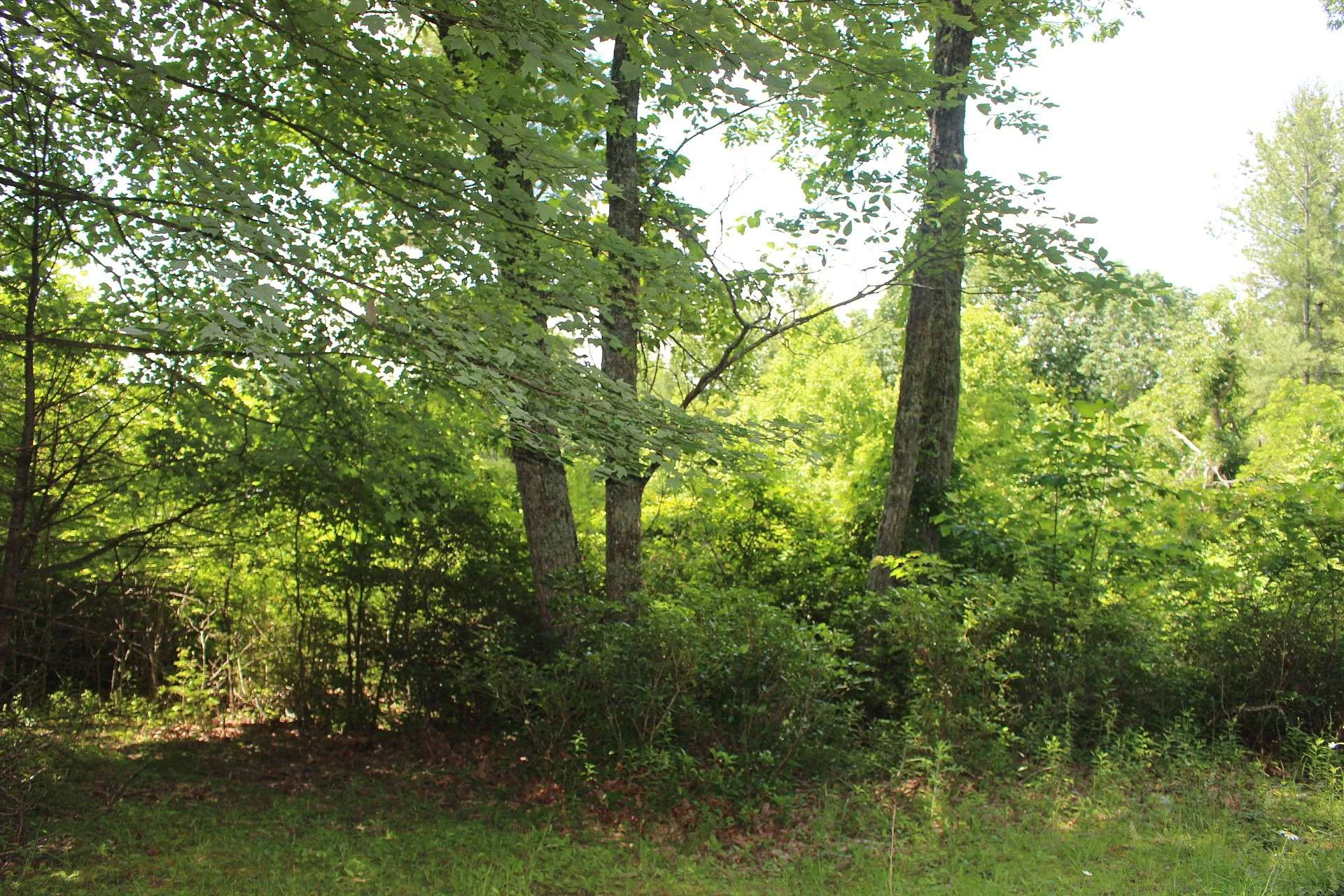 Image number 3 for the current listing