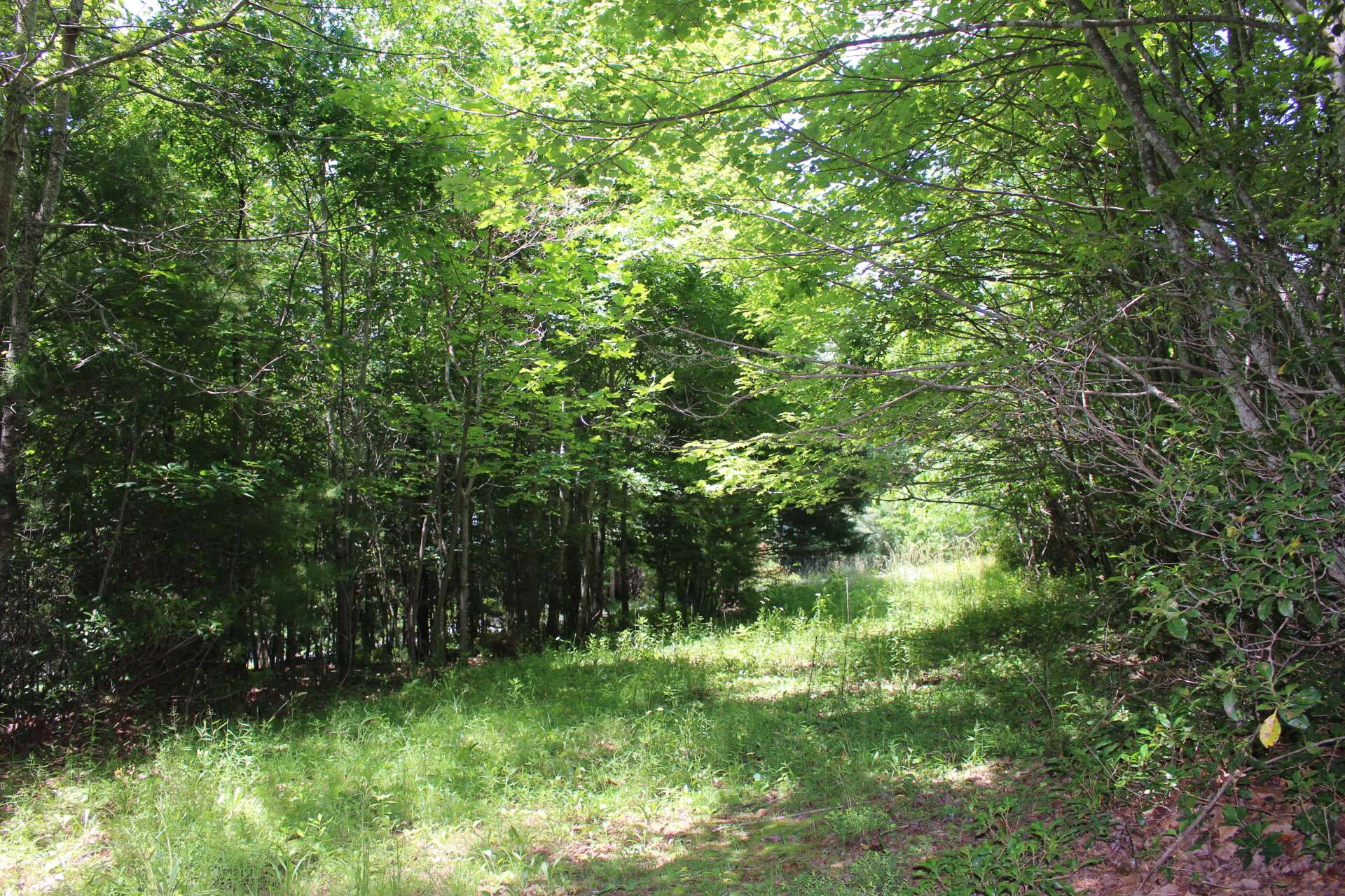 Image number 9 for the current listing
