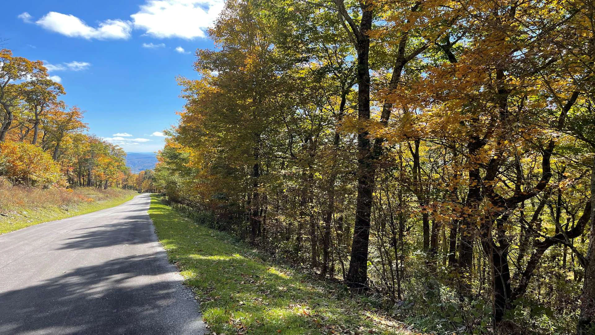 Image number 4 for the current listing