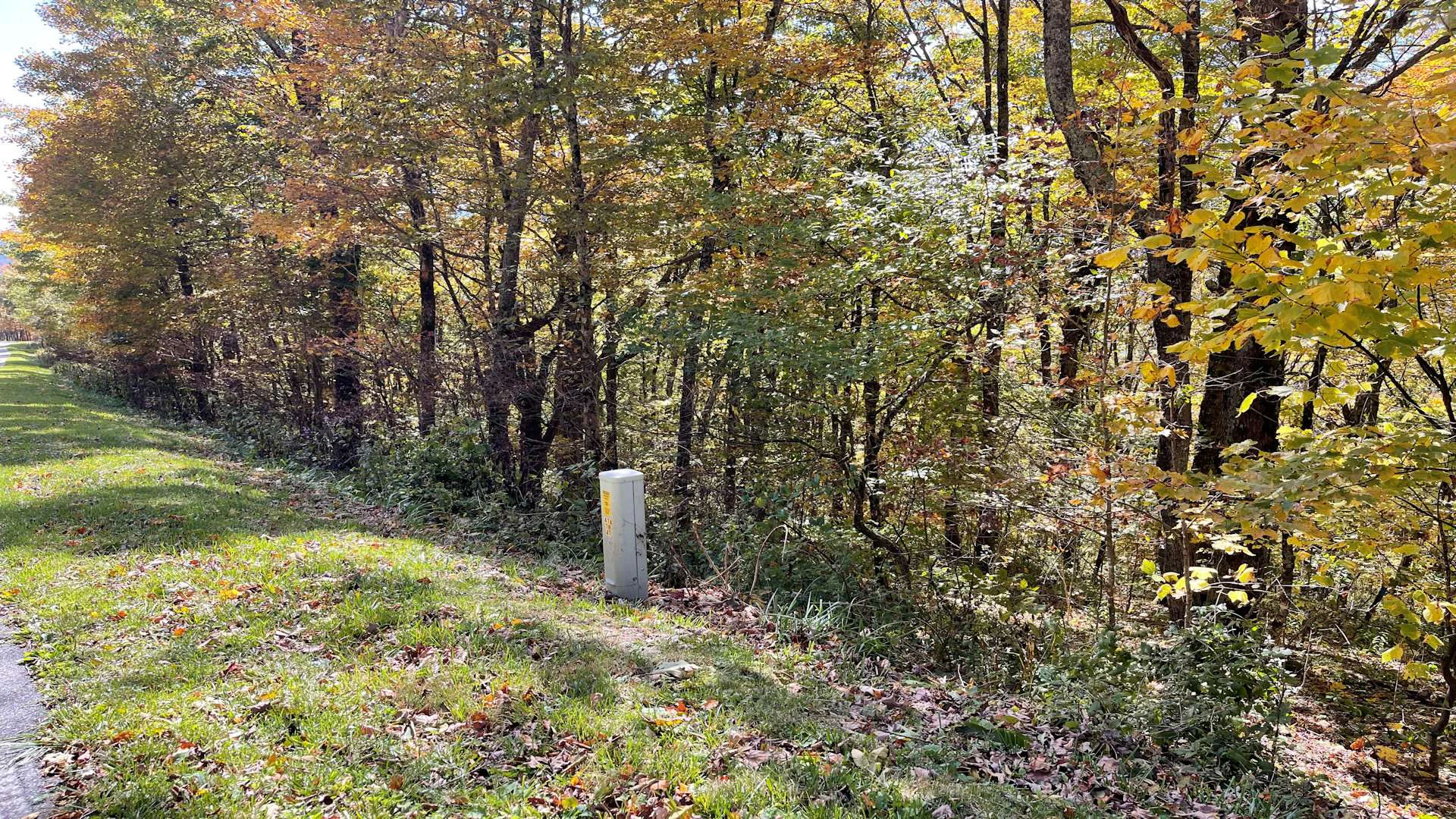 Image number 6 for the current listing