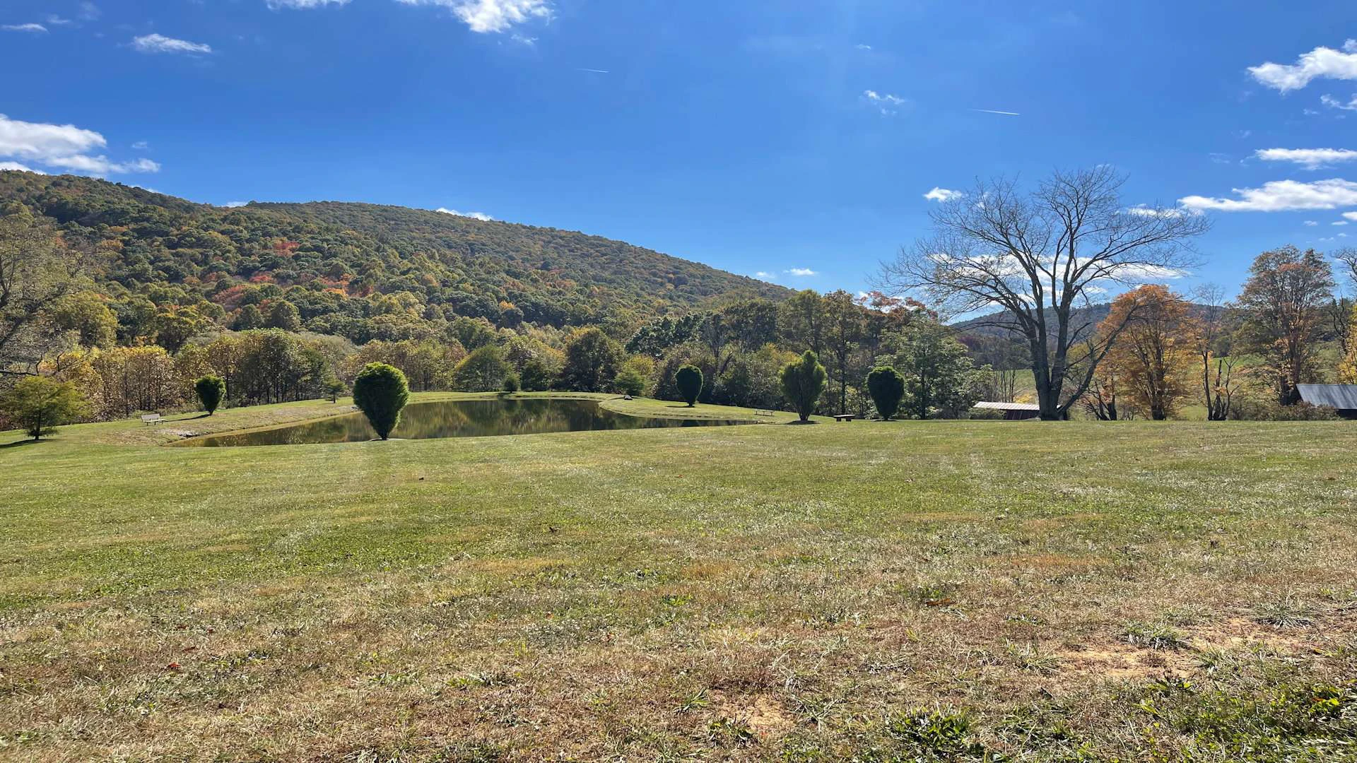 Image number 7 for the current listing