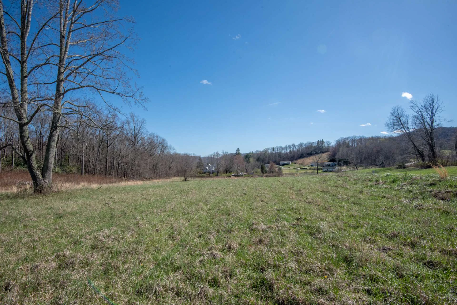 Image number 3 for the current listing