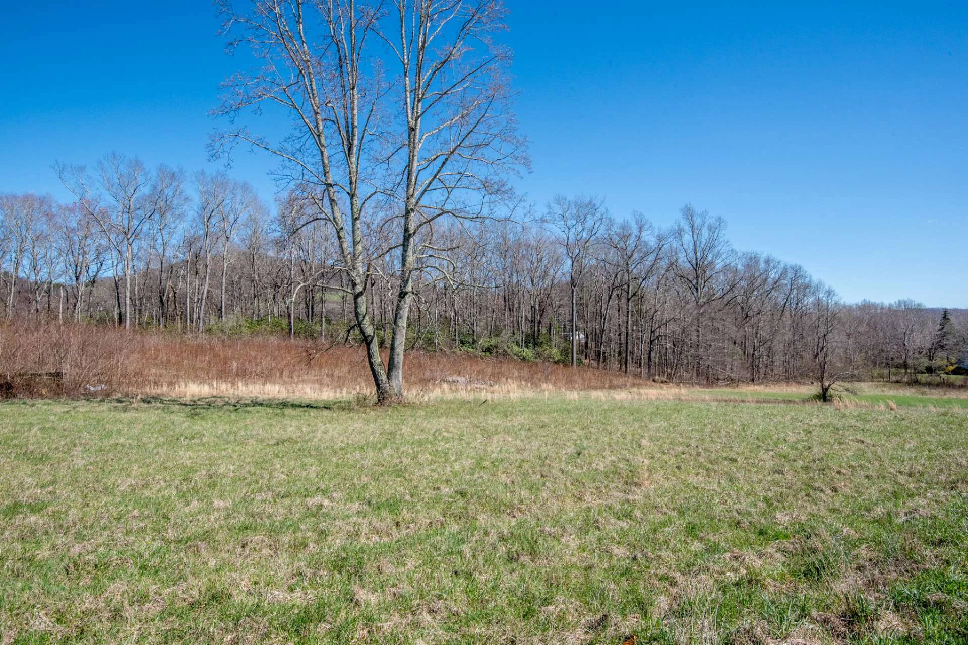 Image number 4 for the current listing