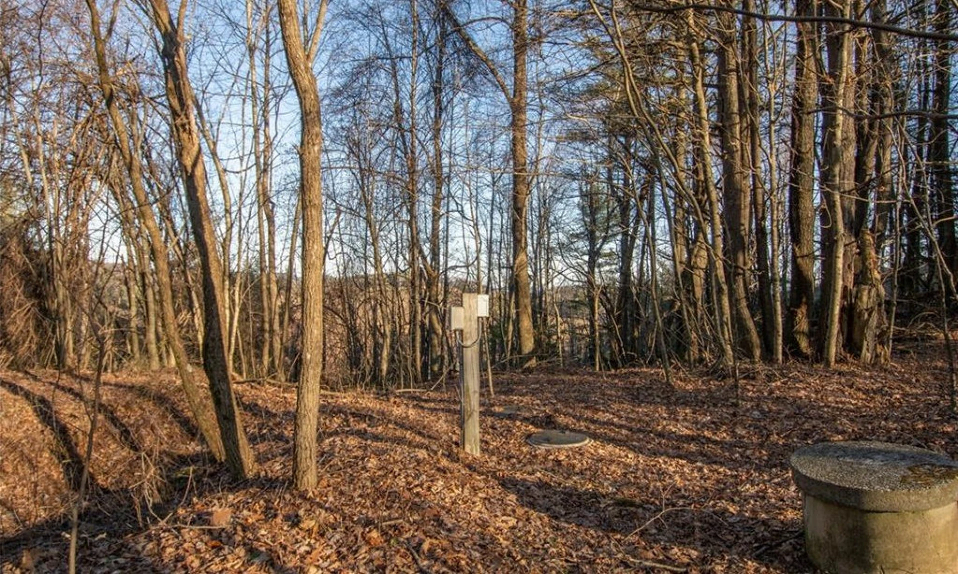 Image number 1 for the current listing