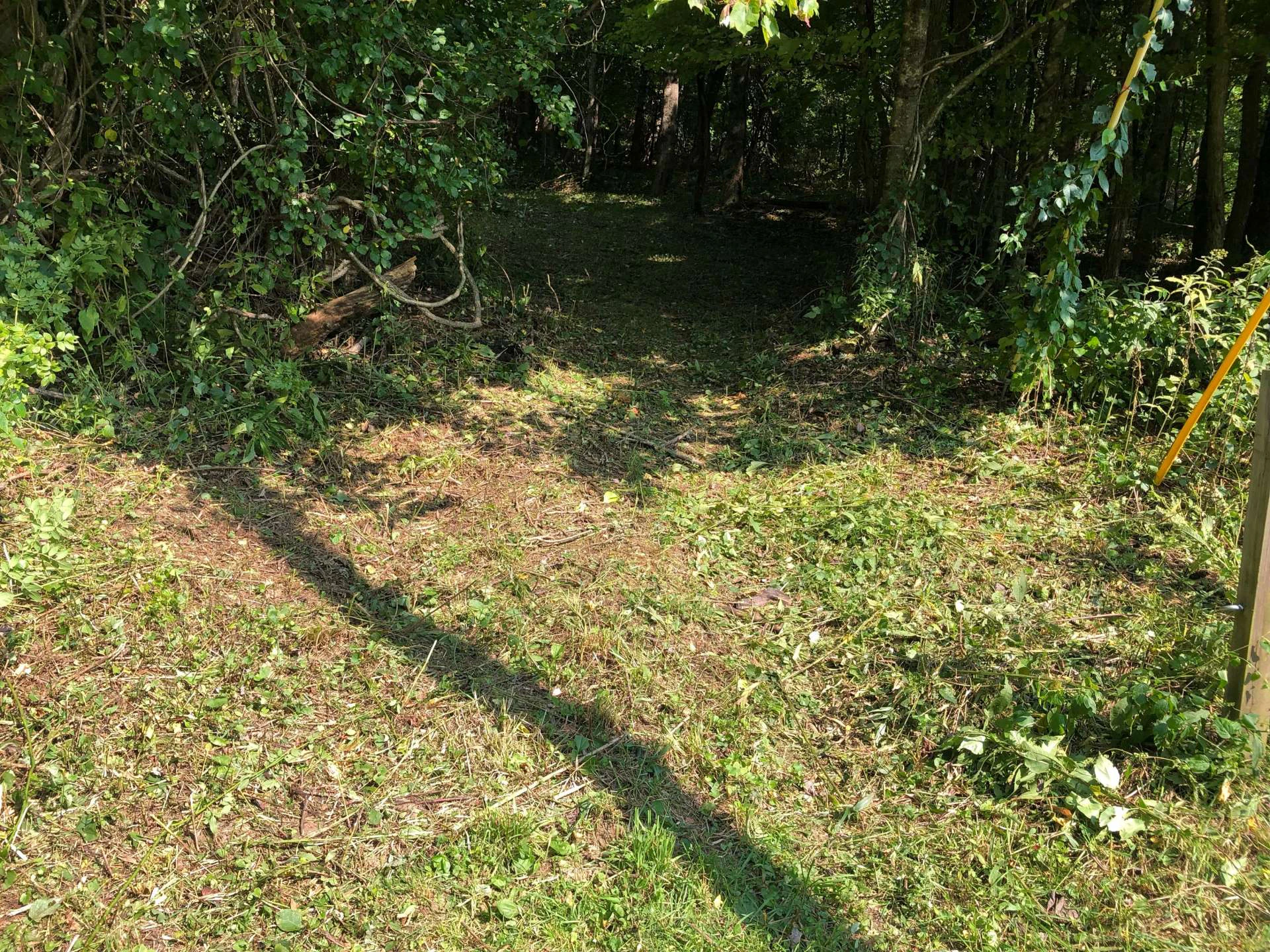 Image number 2 for the current listing