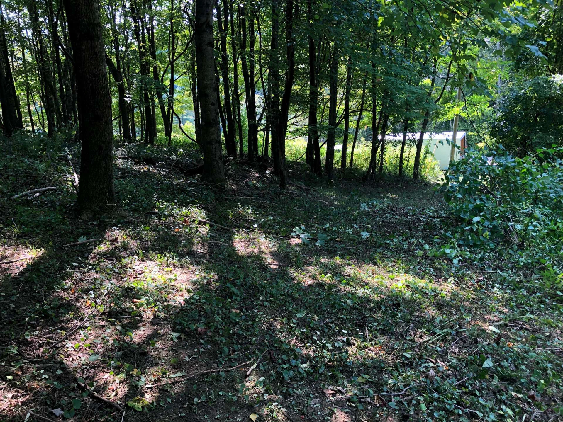 Image number 3 for the current listing