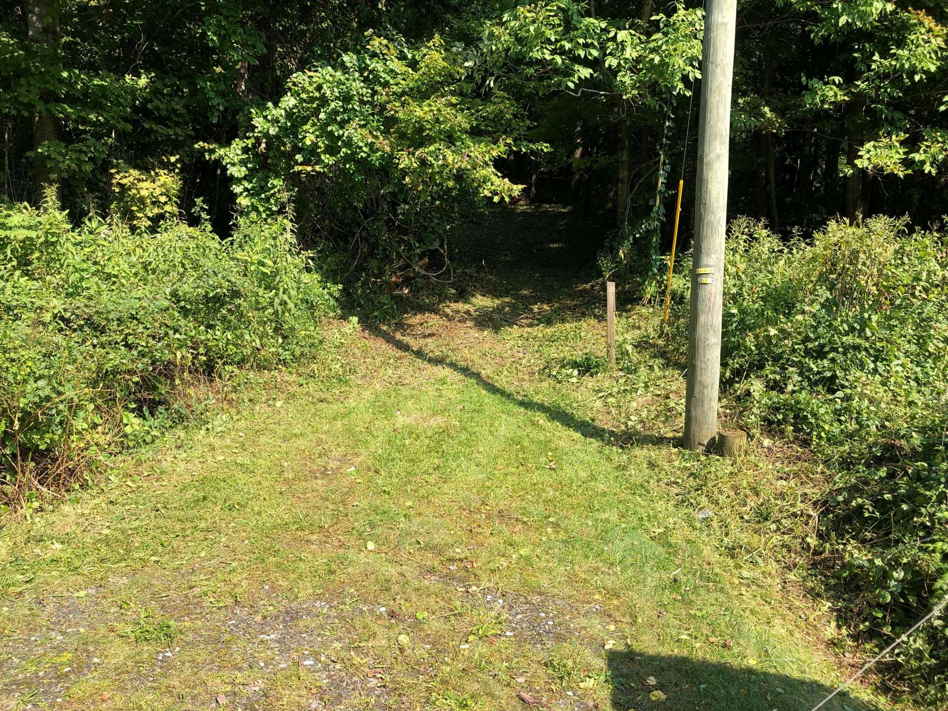 Image number 4 for the current listing
