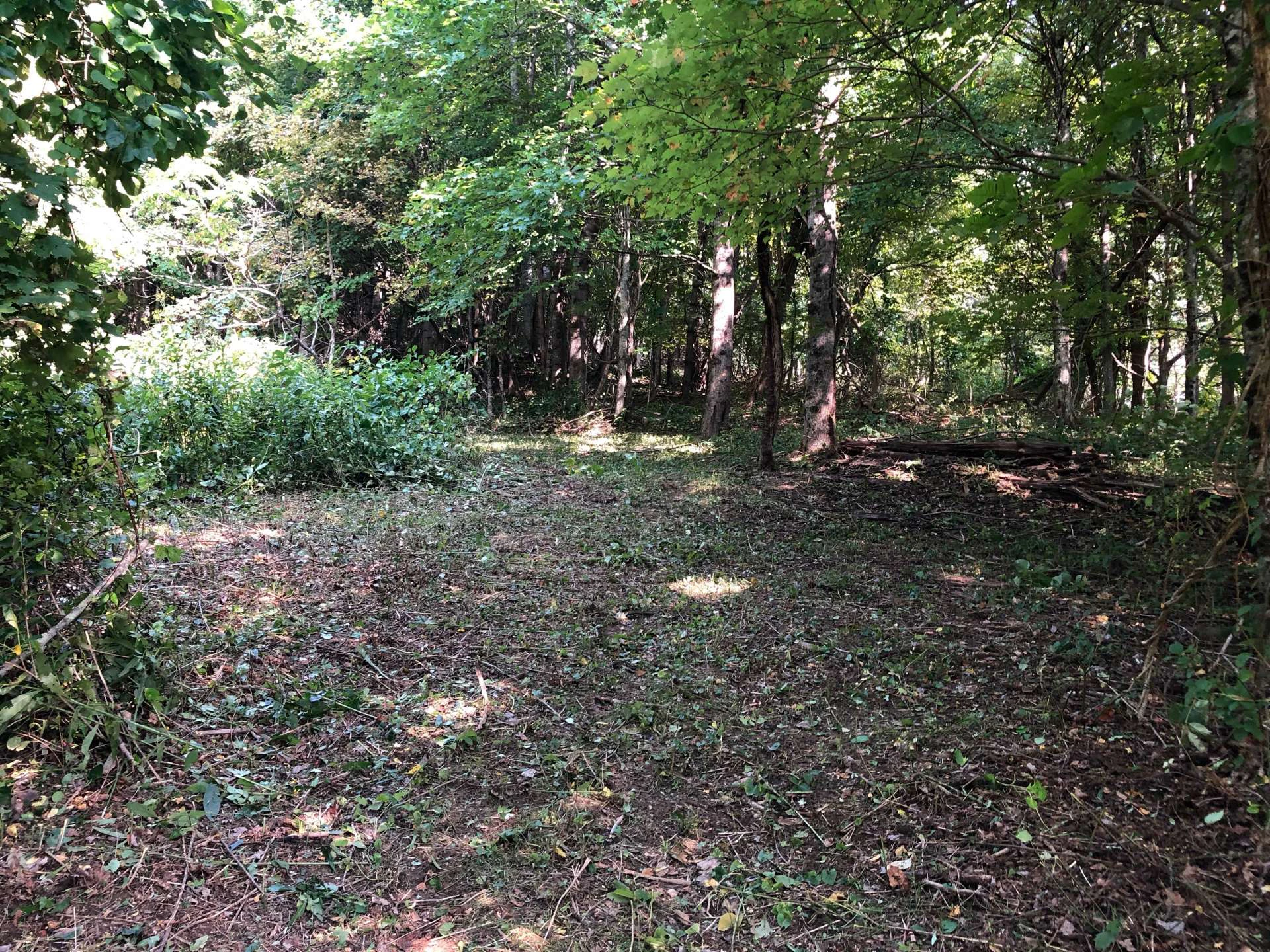 Image number 6 for the current listing