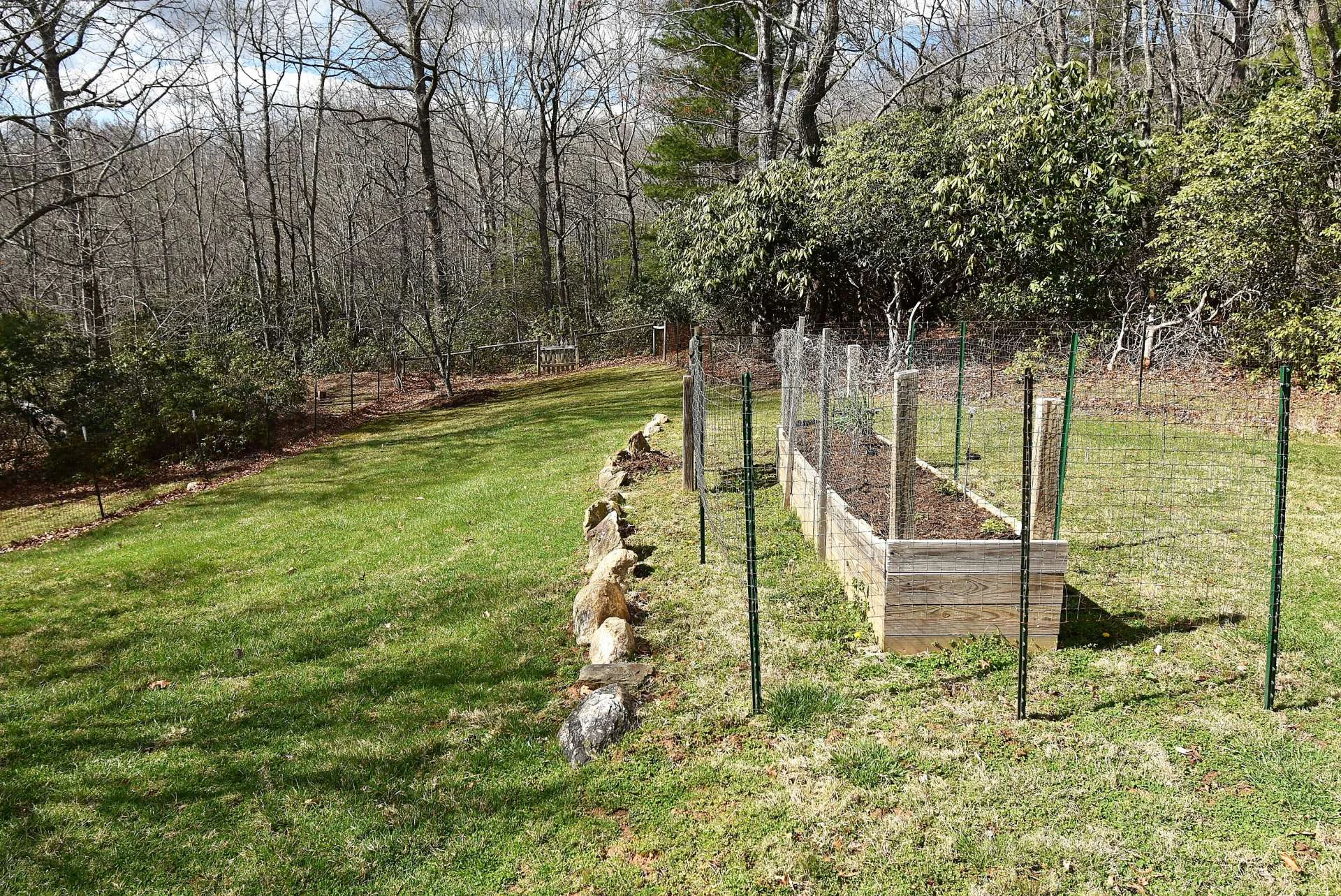 Image number 10 for the current listing