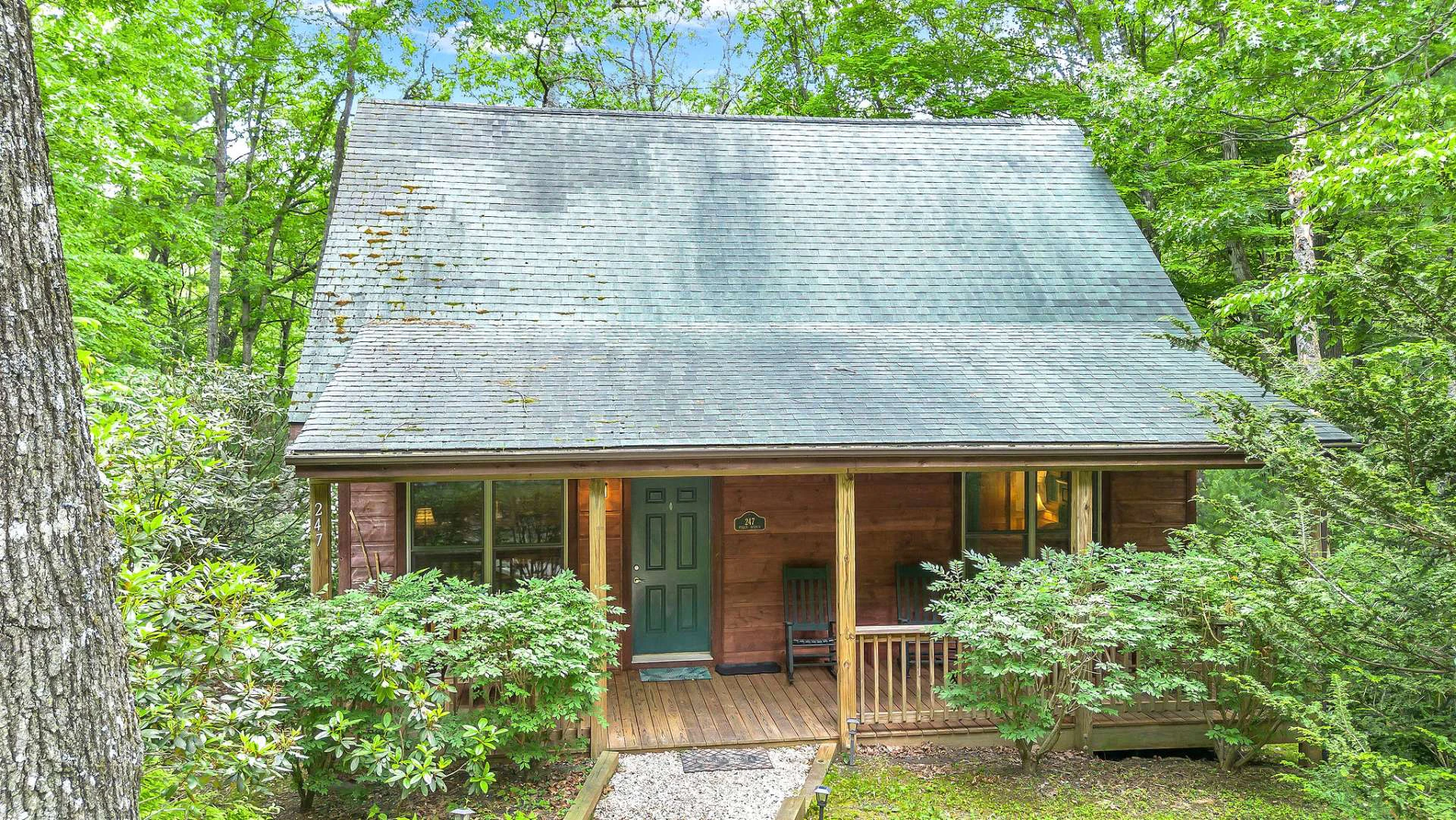 Image number 20 for the current listing