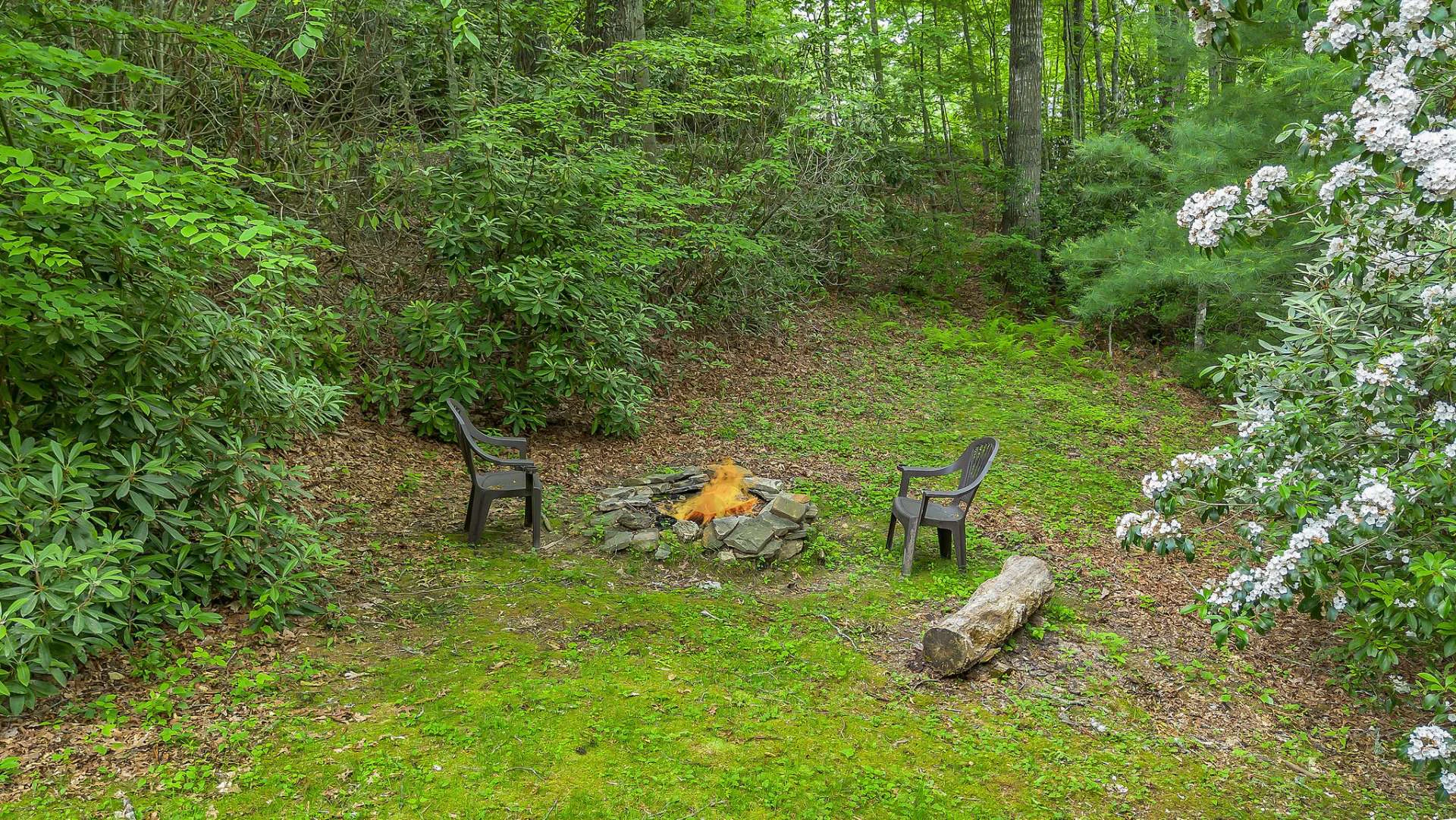 Image number 18 for the current listing