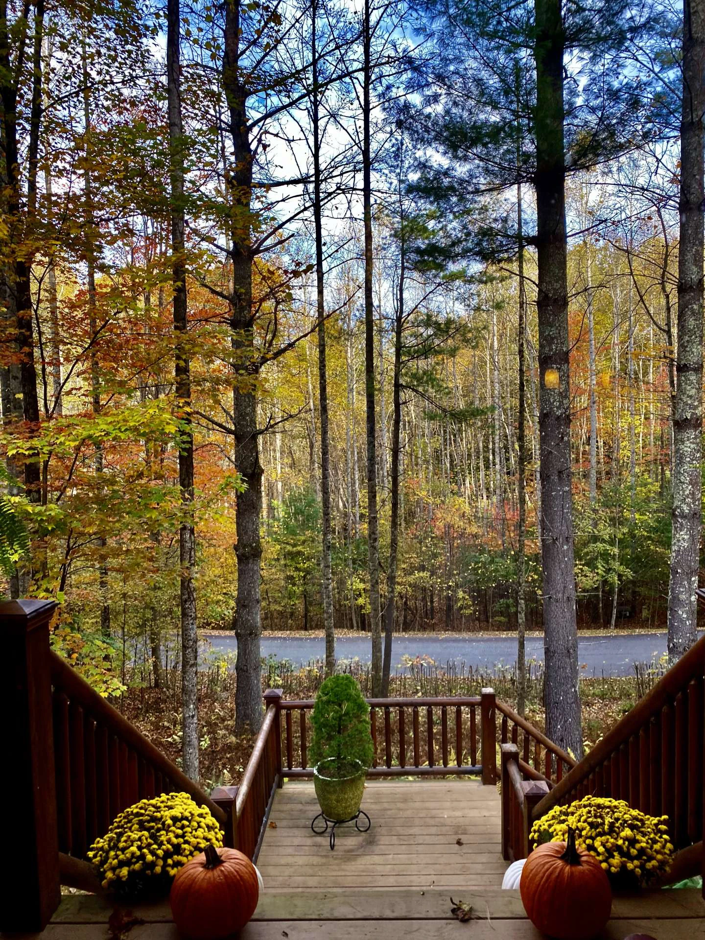 Image number 9 for the current listing