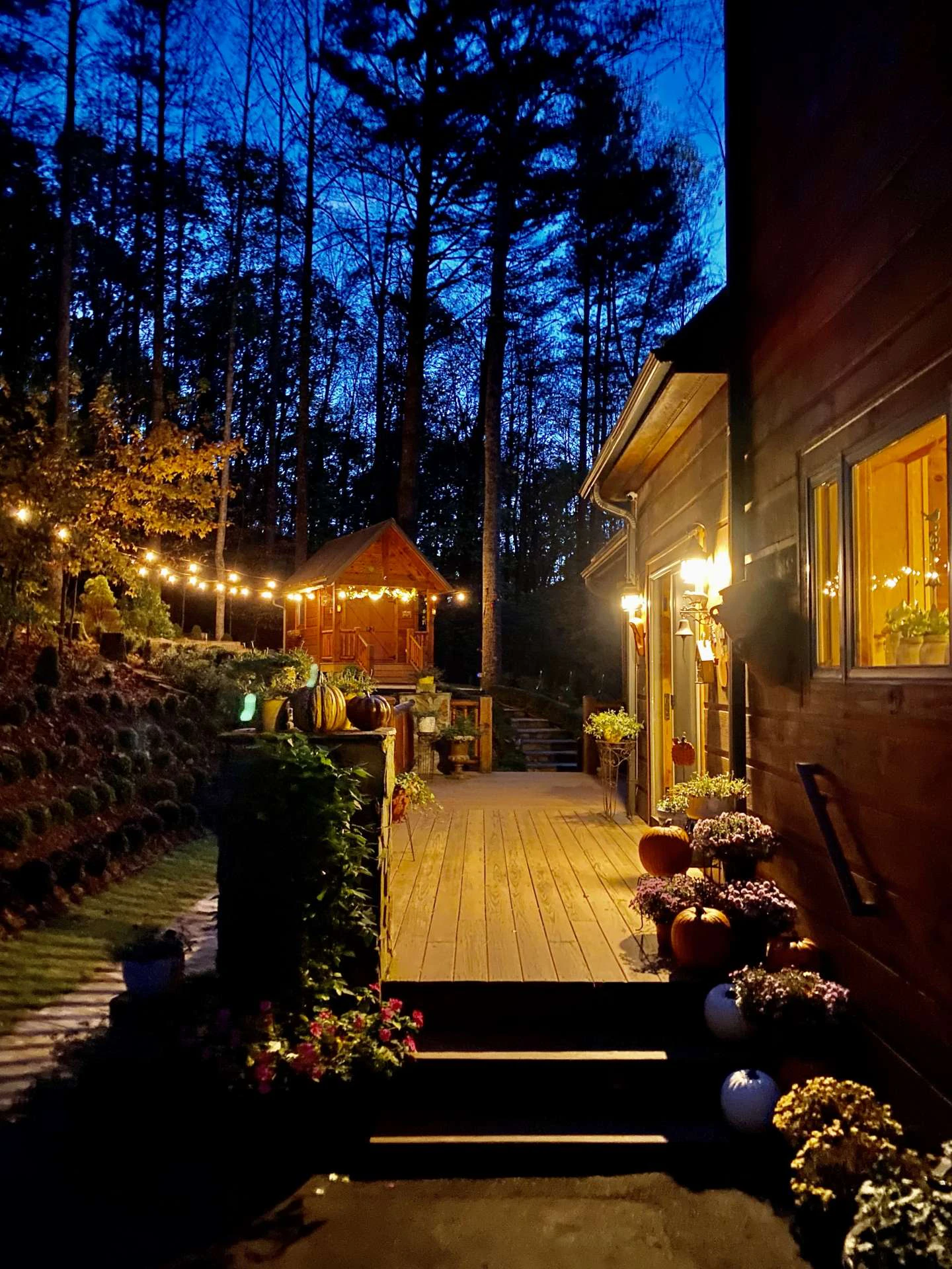 Image number 2 for the current listing