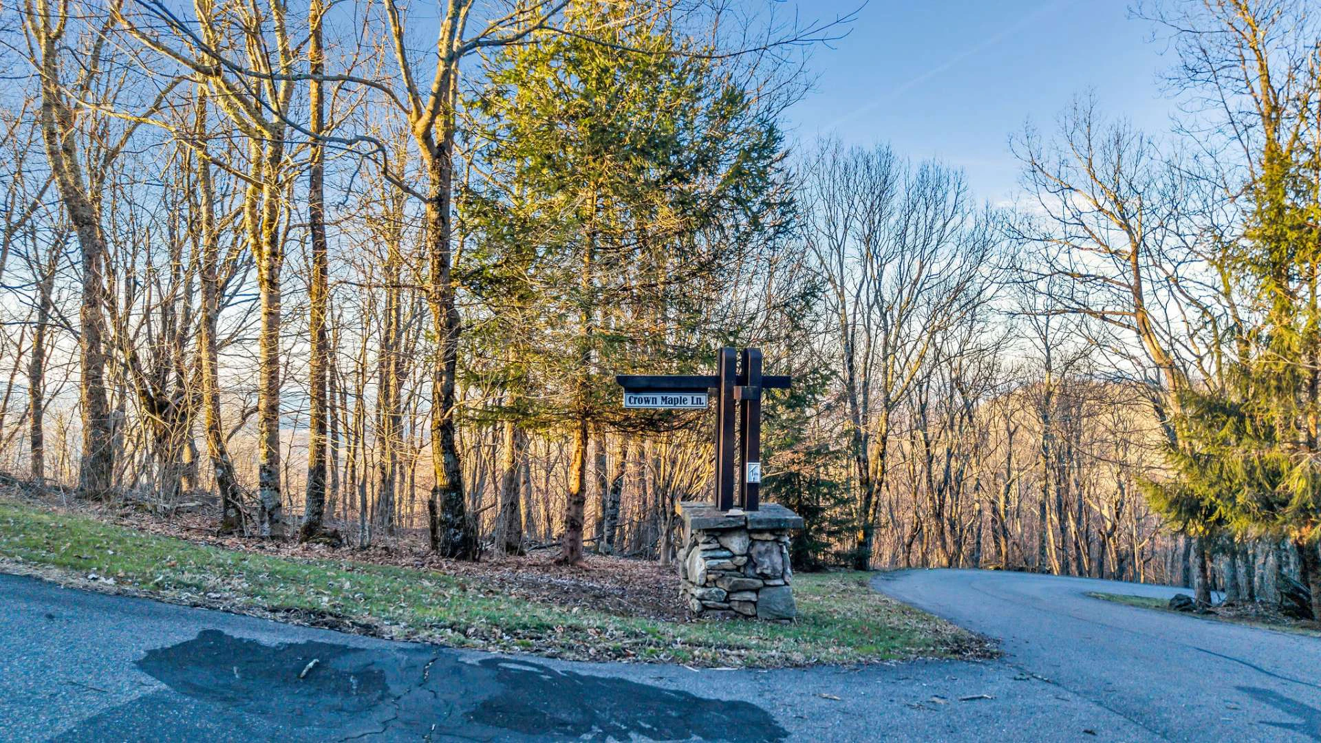 Image number 11 for the current listing