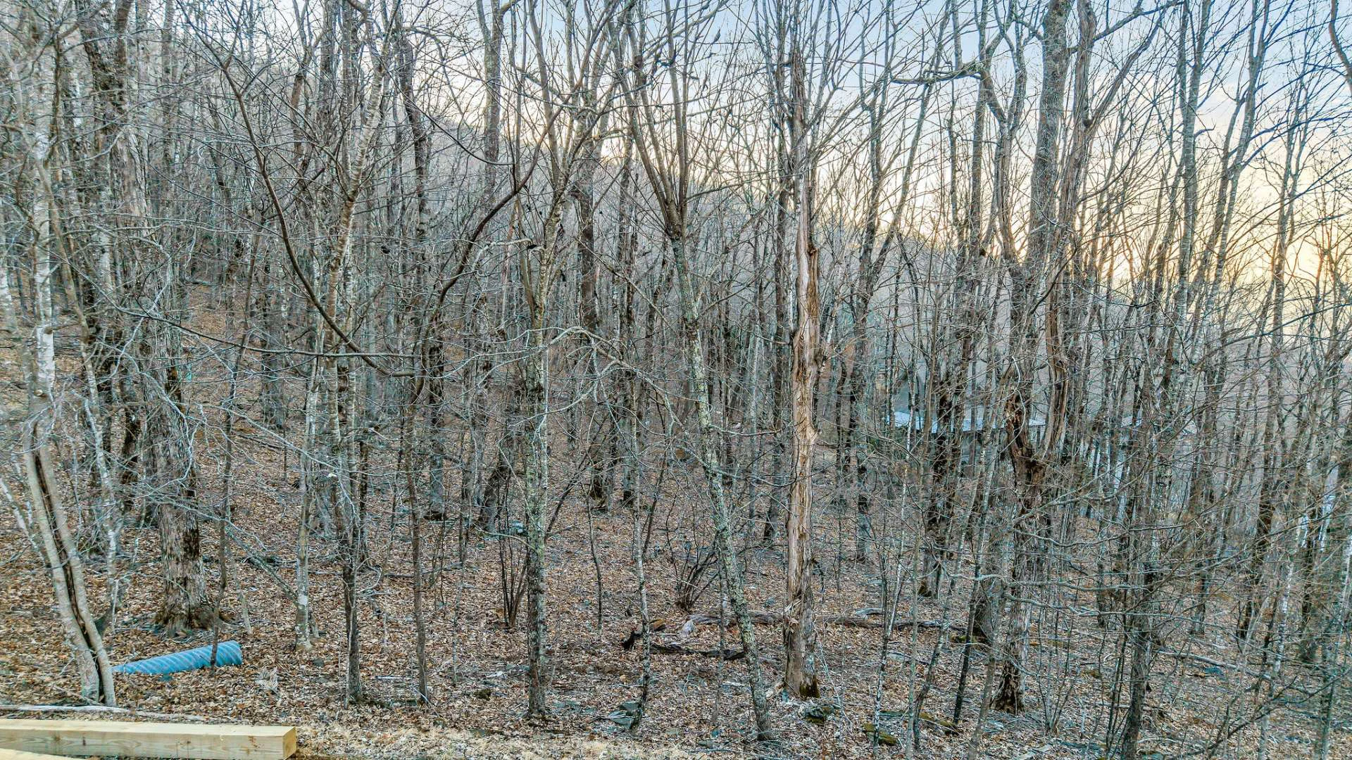Image number 10 for the current listing