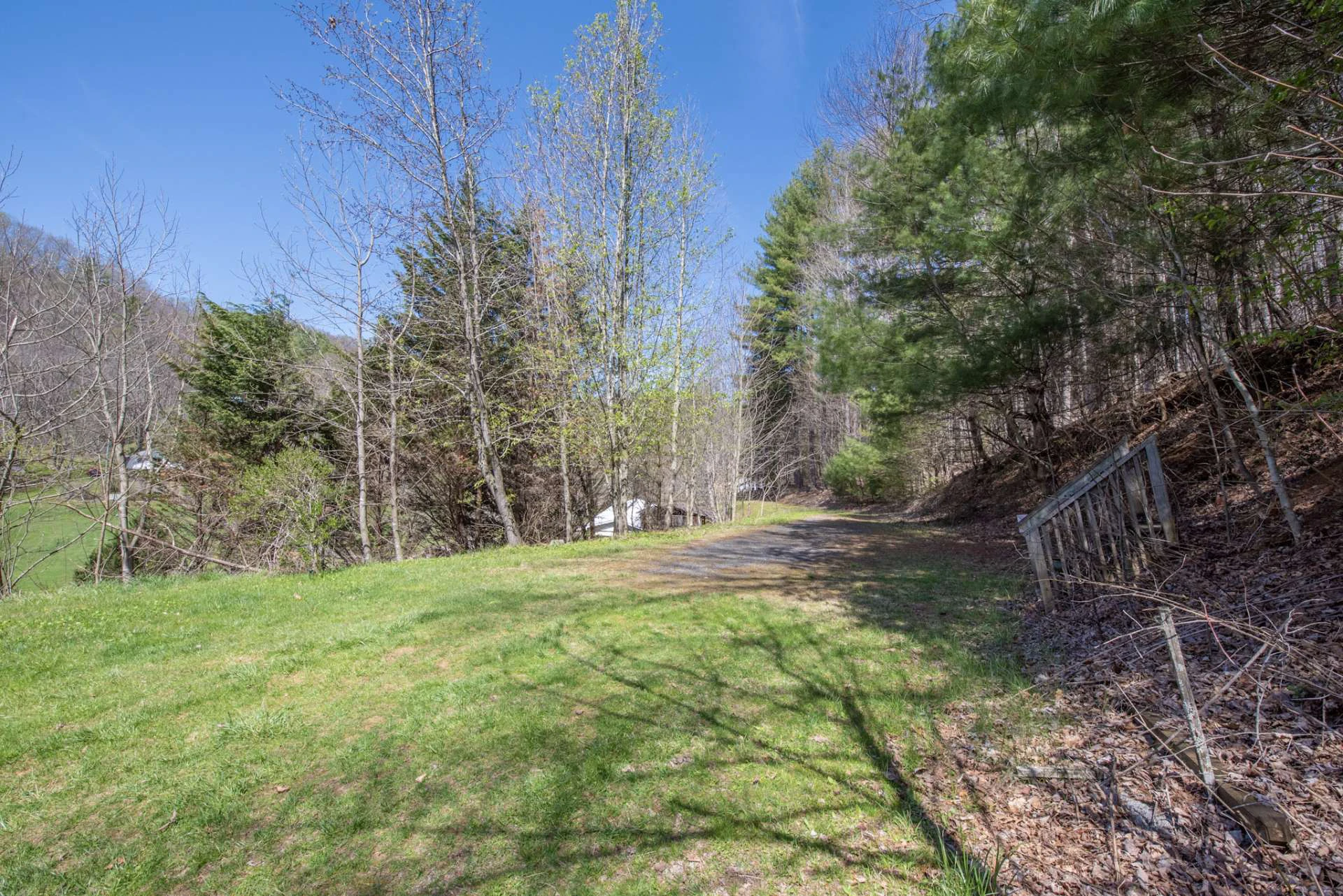 Image number 21 for the current listing