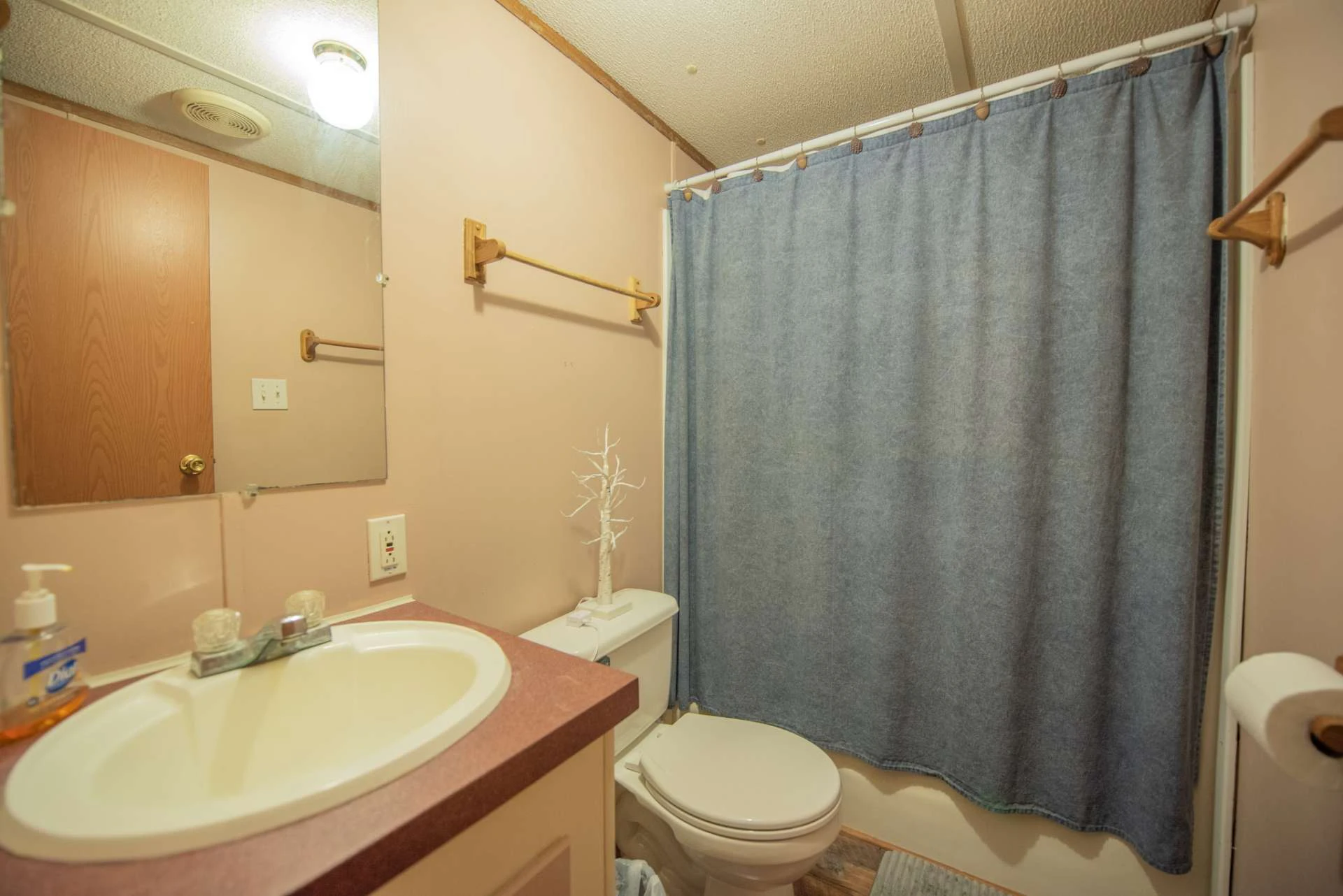 Image number 5 for the current listing