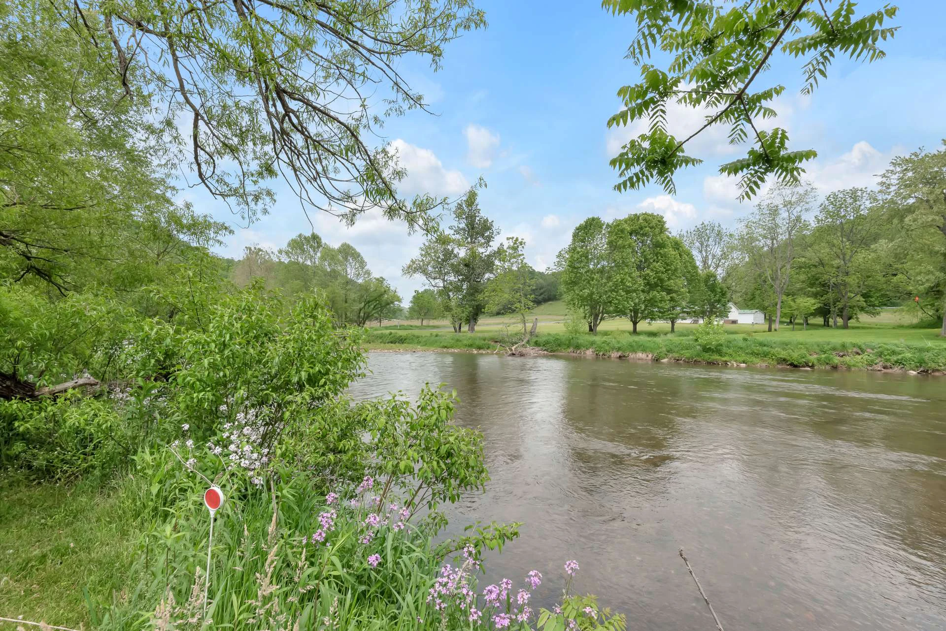 Image number 14 for the current listing