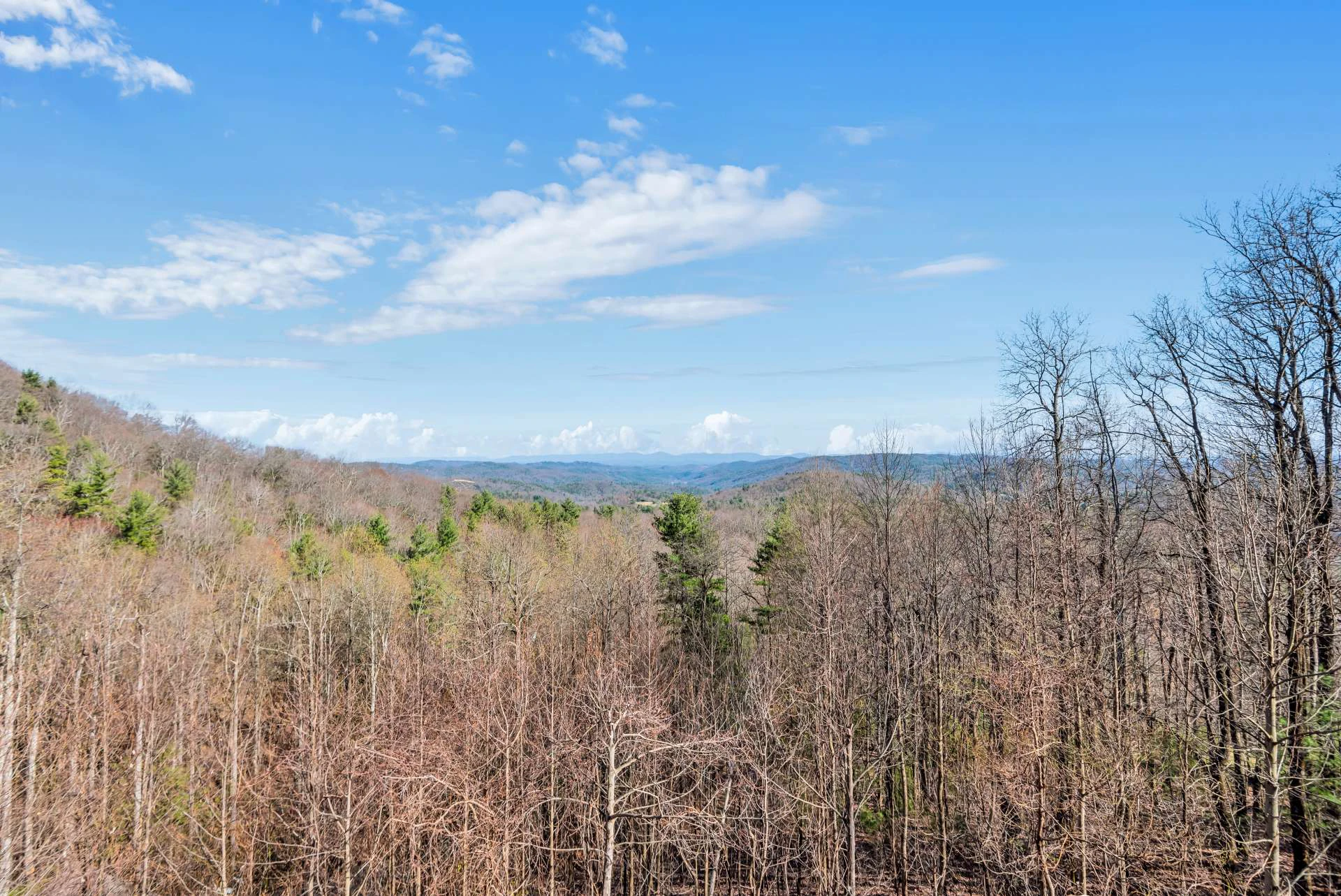Image number 19 for the current listing