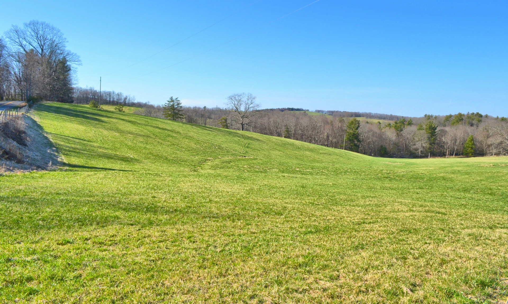 Image number 1 for the current listing