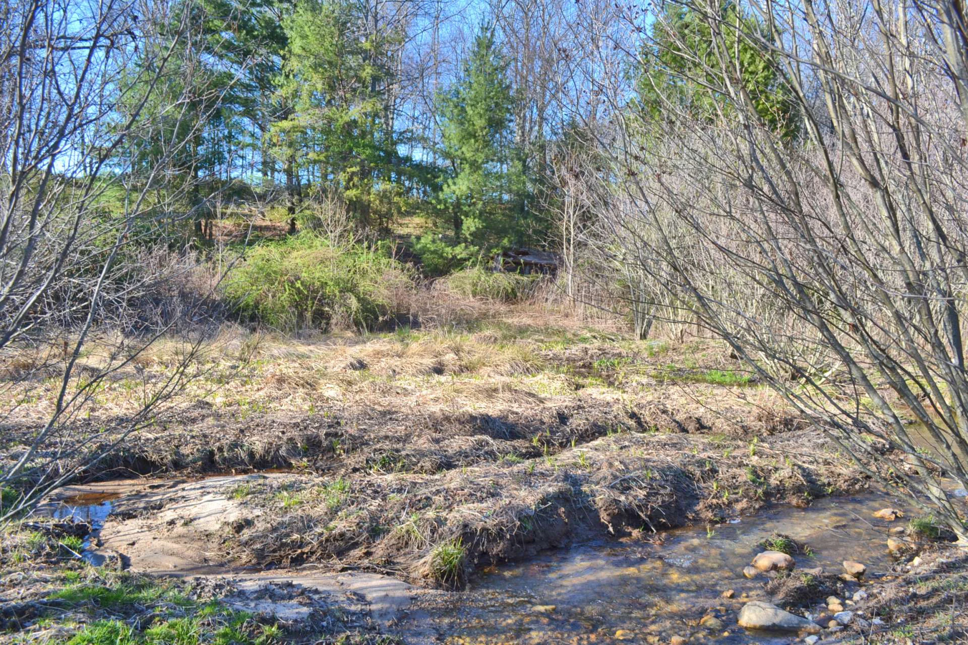 Image number 2 for the current listing