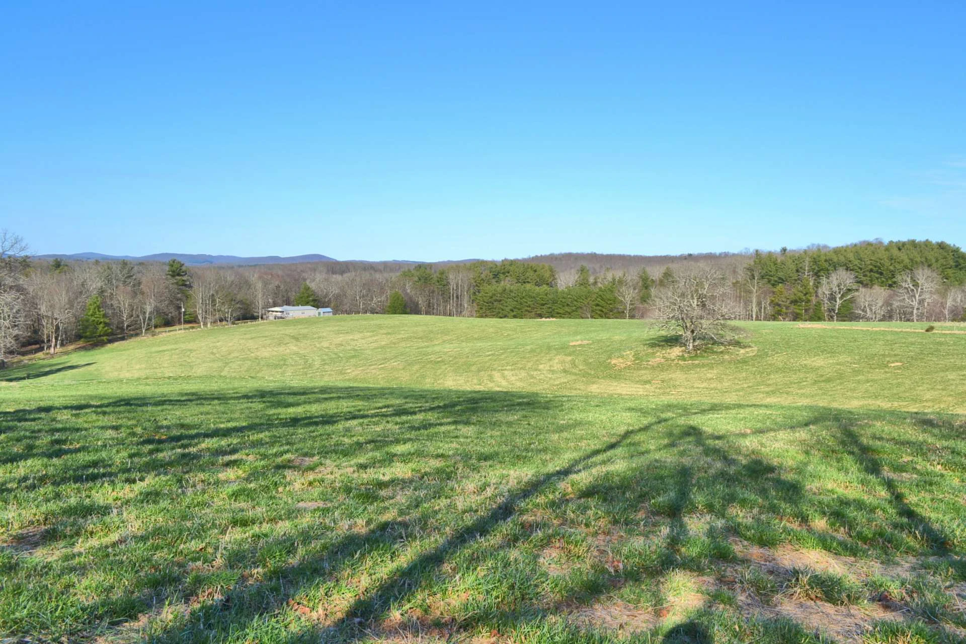 Image number 3 for the current listing