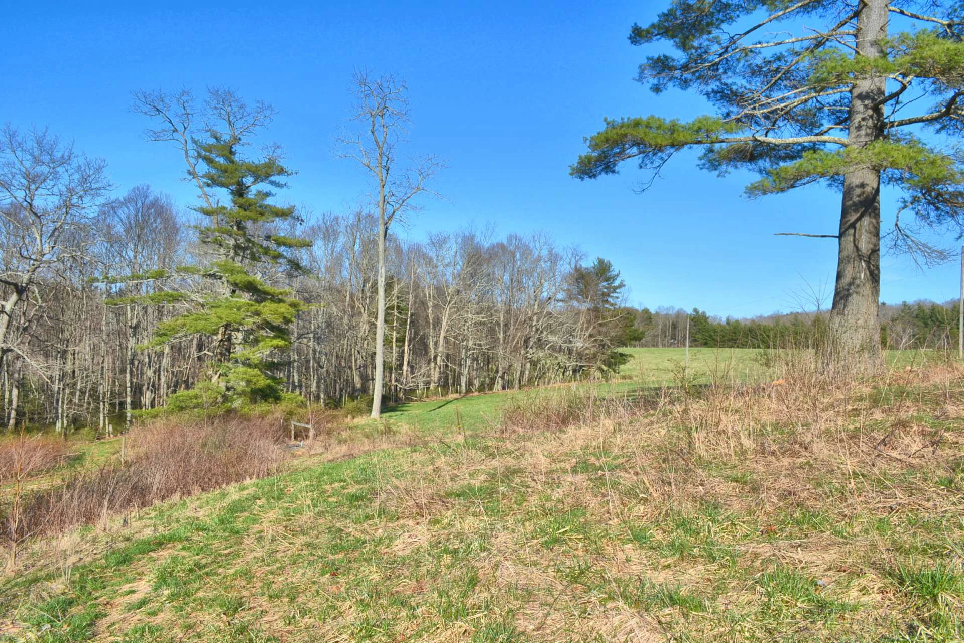 Image number 4 for the current listing