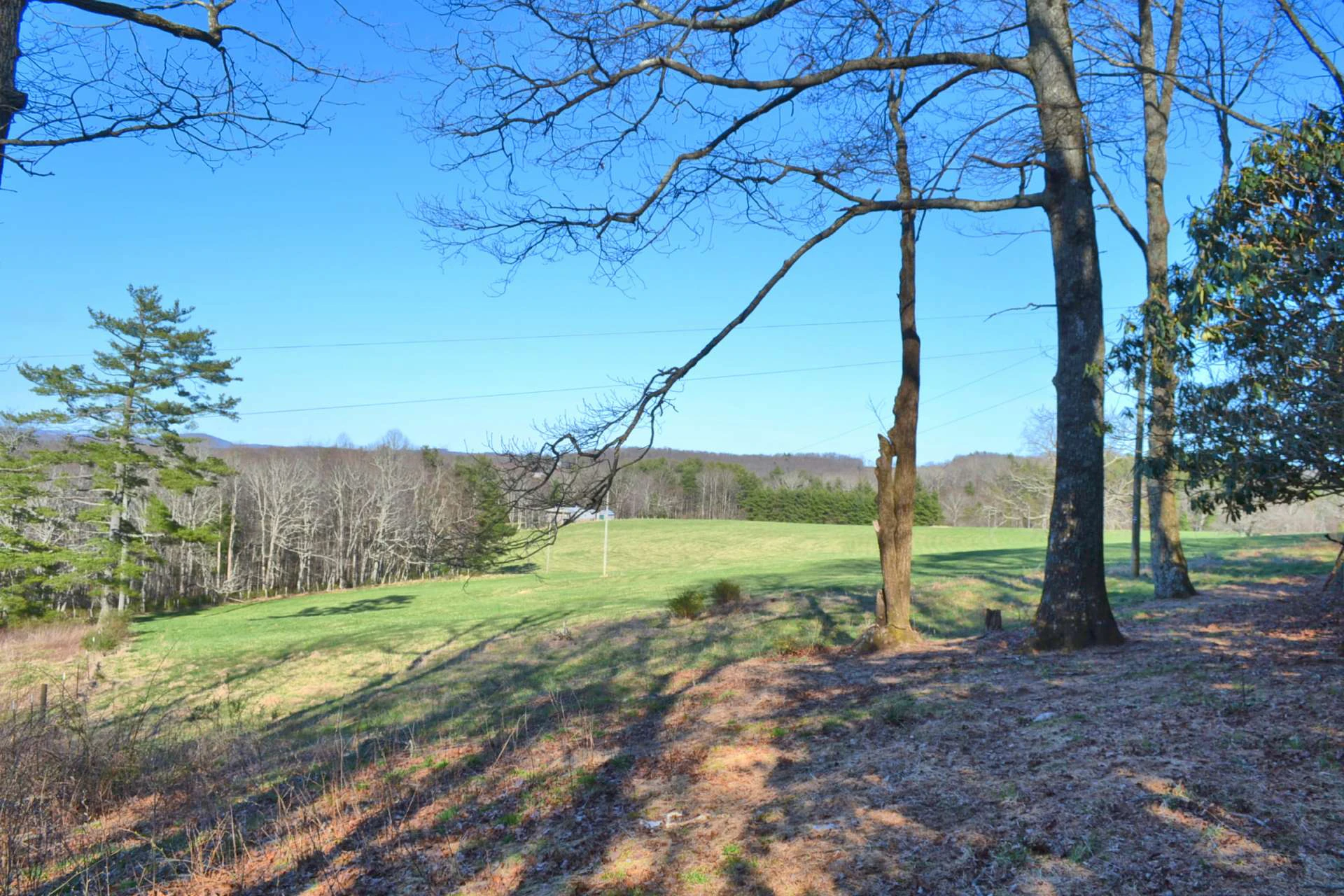 Image number 5 for the current listing