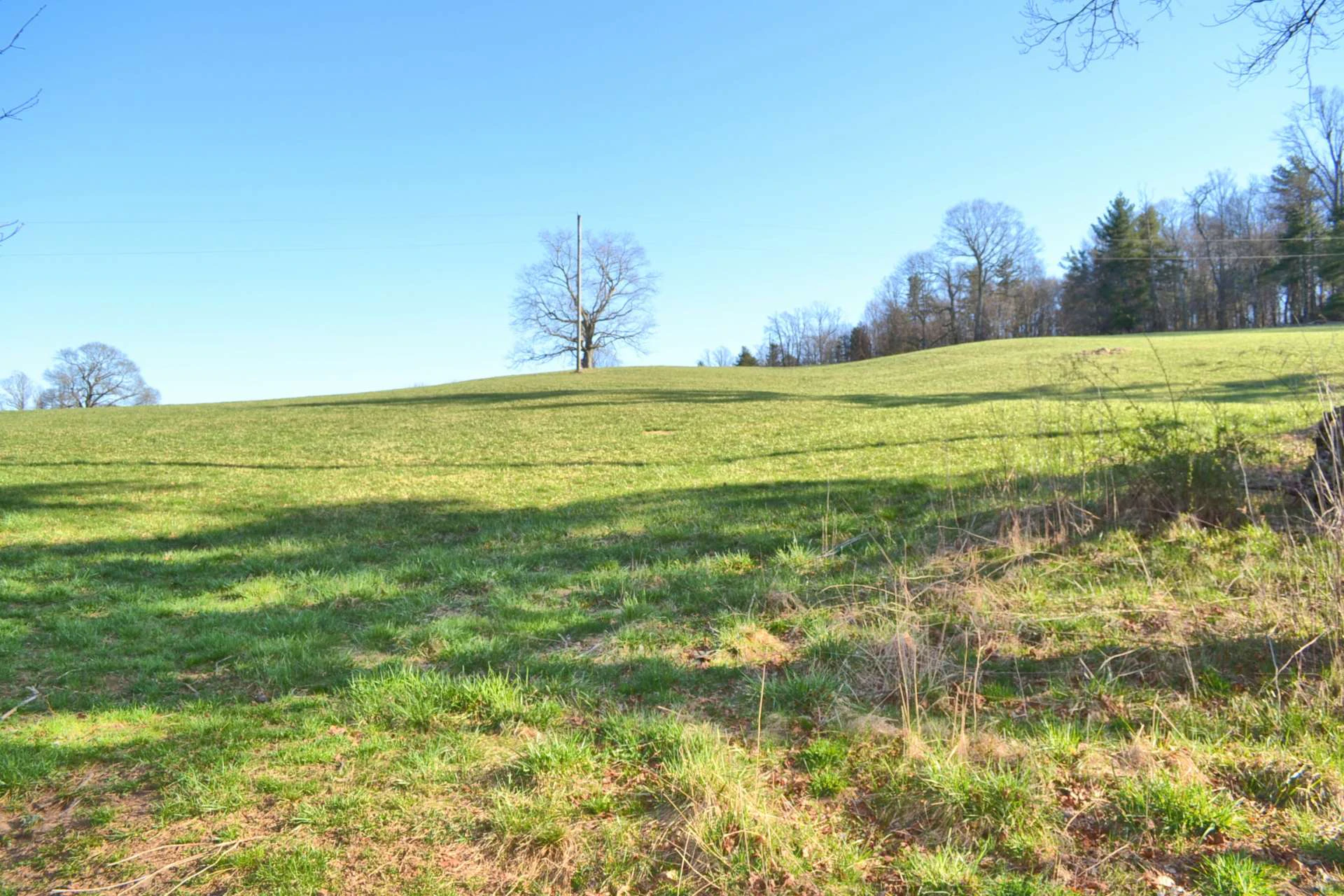 Image number 6 for the current listing