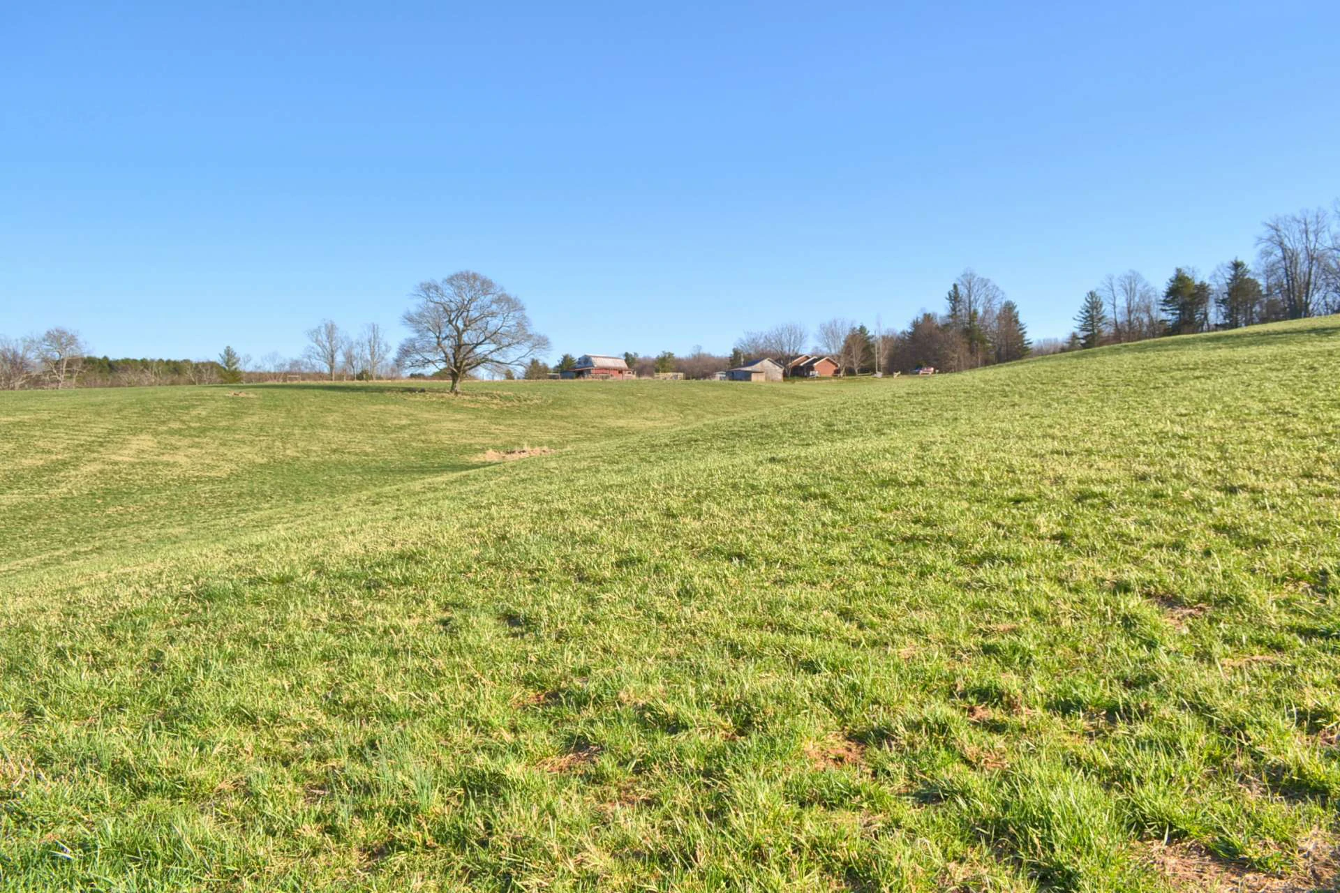 Image number 7 for the current listing