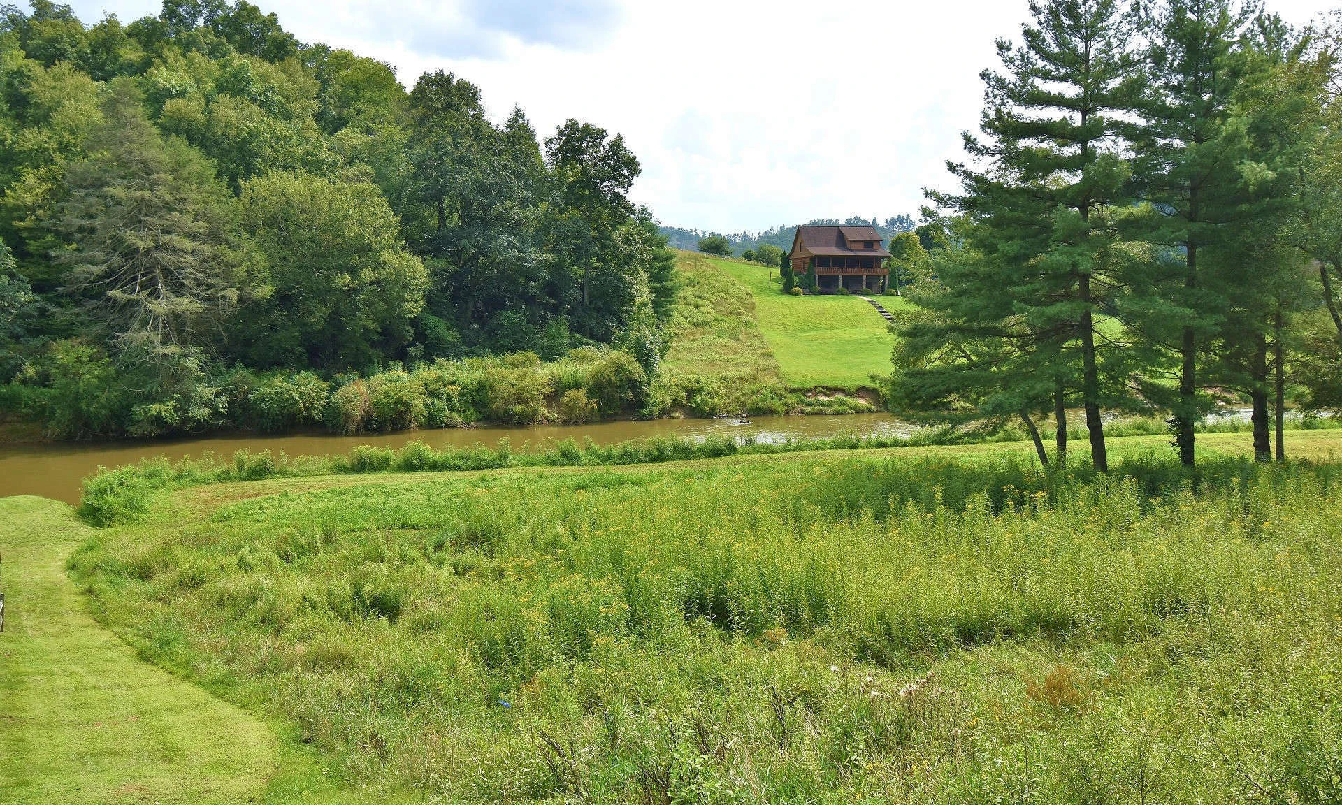 Image number 1 for the current listing