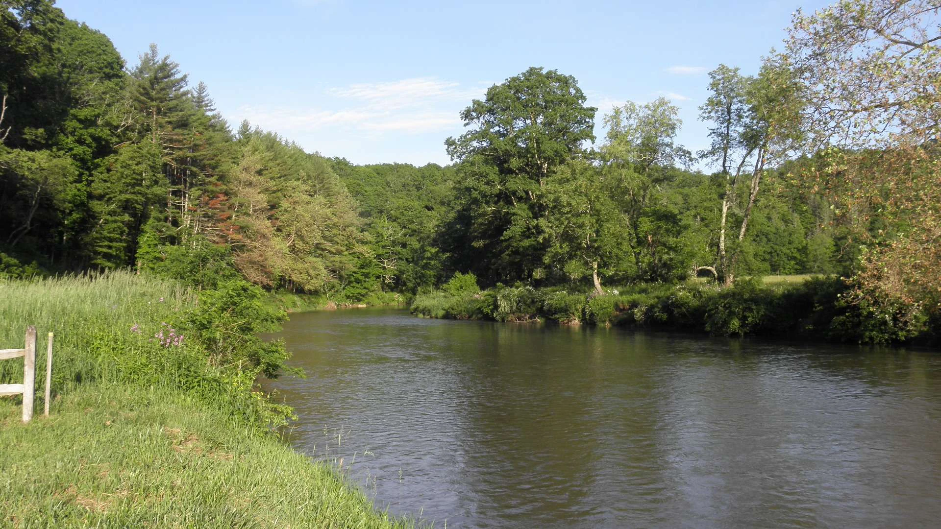 Image number 2 for the current listing