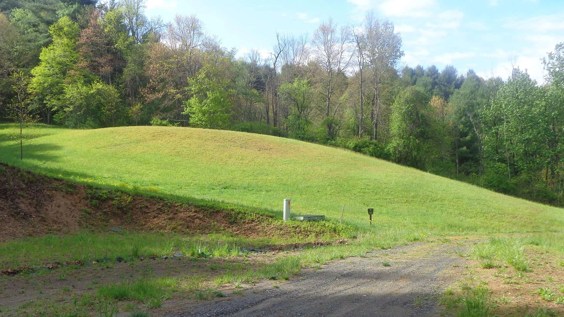 Image number 8 for the current listing