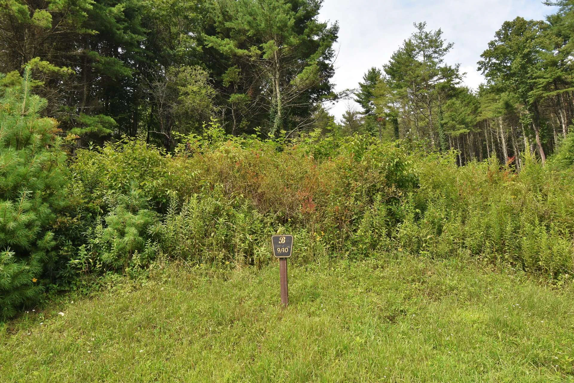 Image number 4 for the current listing