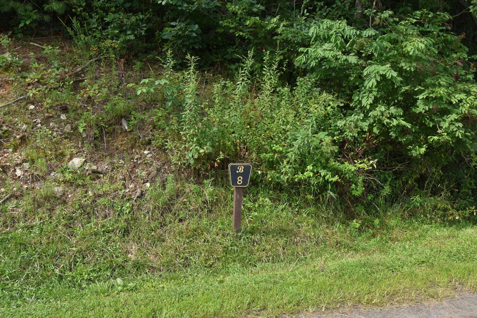 Image number 2 for the current listing