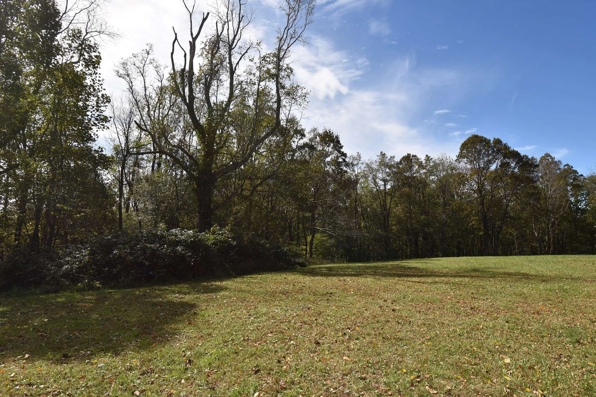 Image number 2 for the current listing