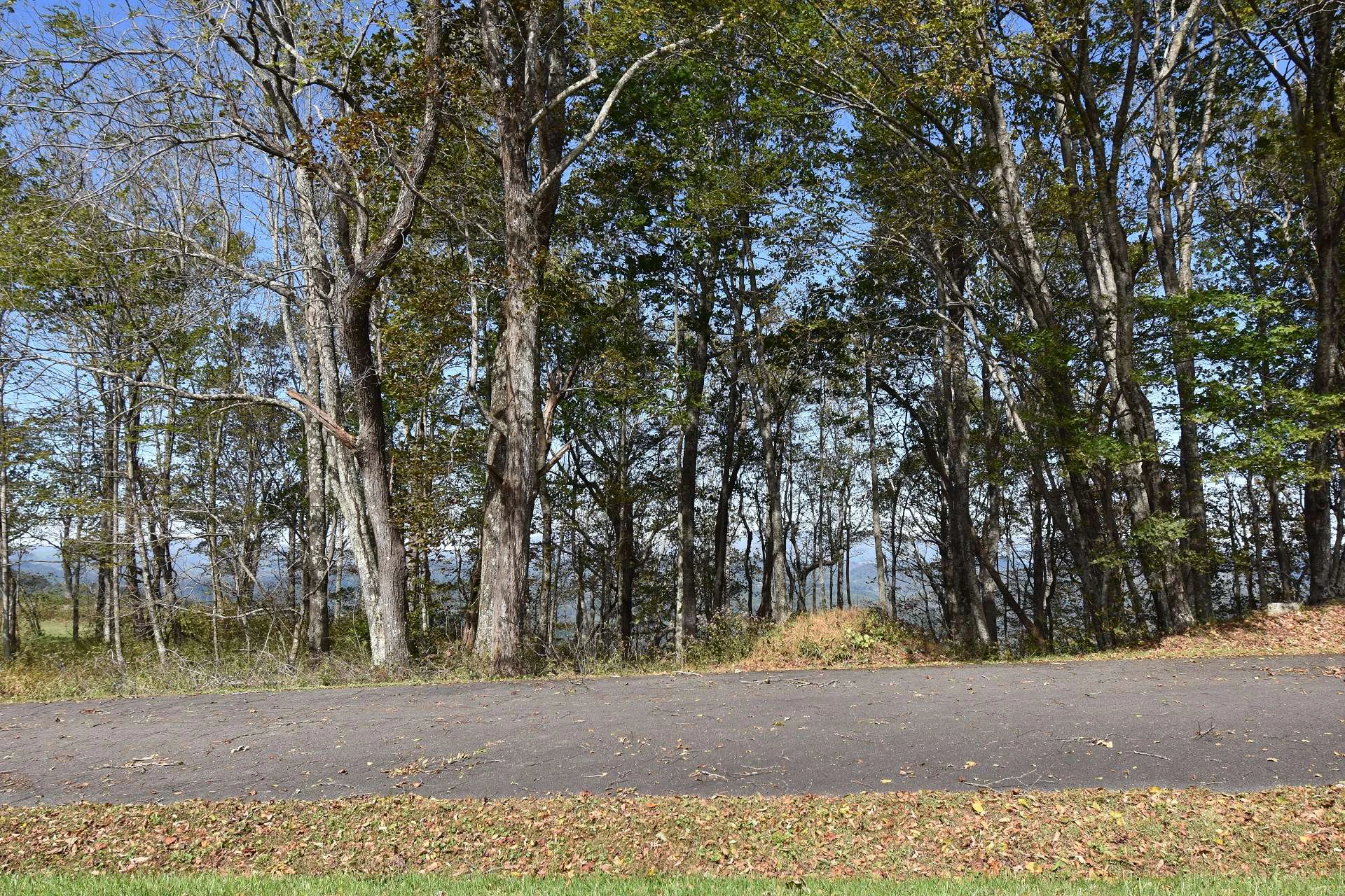 Image number 3 for the current listing