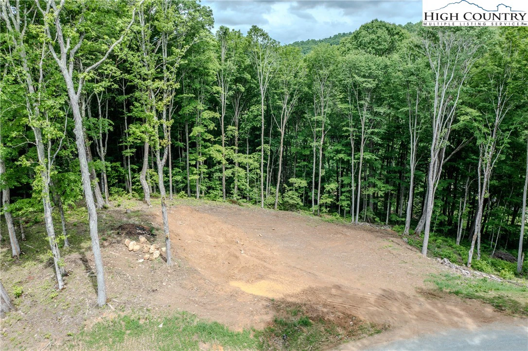 Image number 1 for the current listing