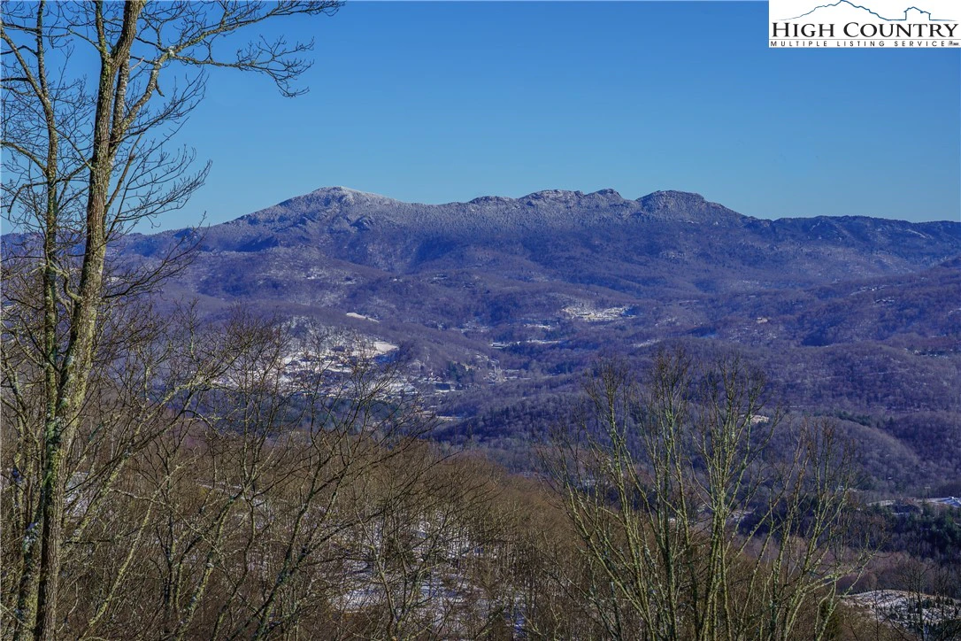 Image number 9 for the current listing