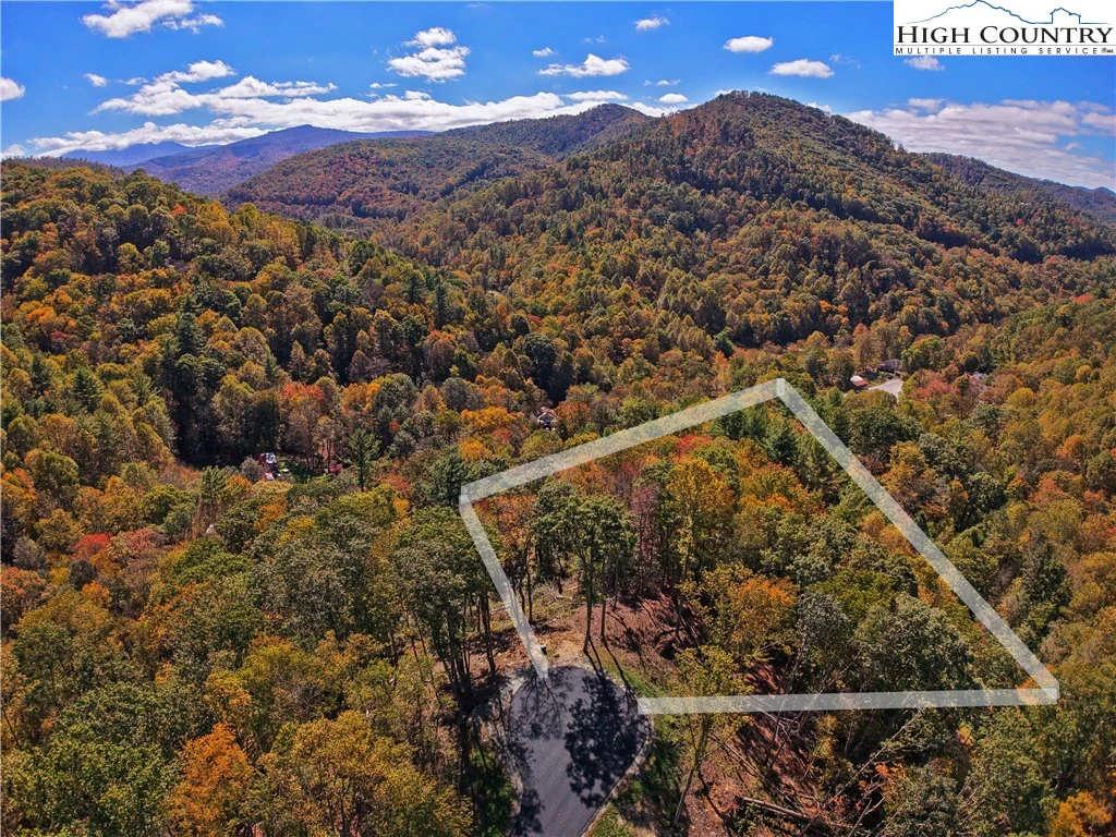 Image number 1 for the current listing