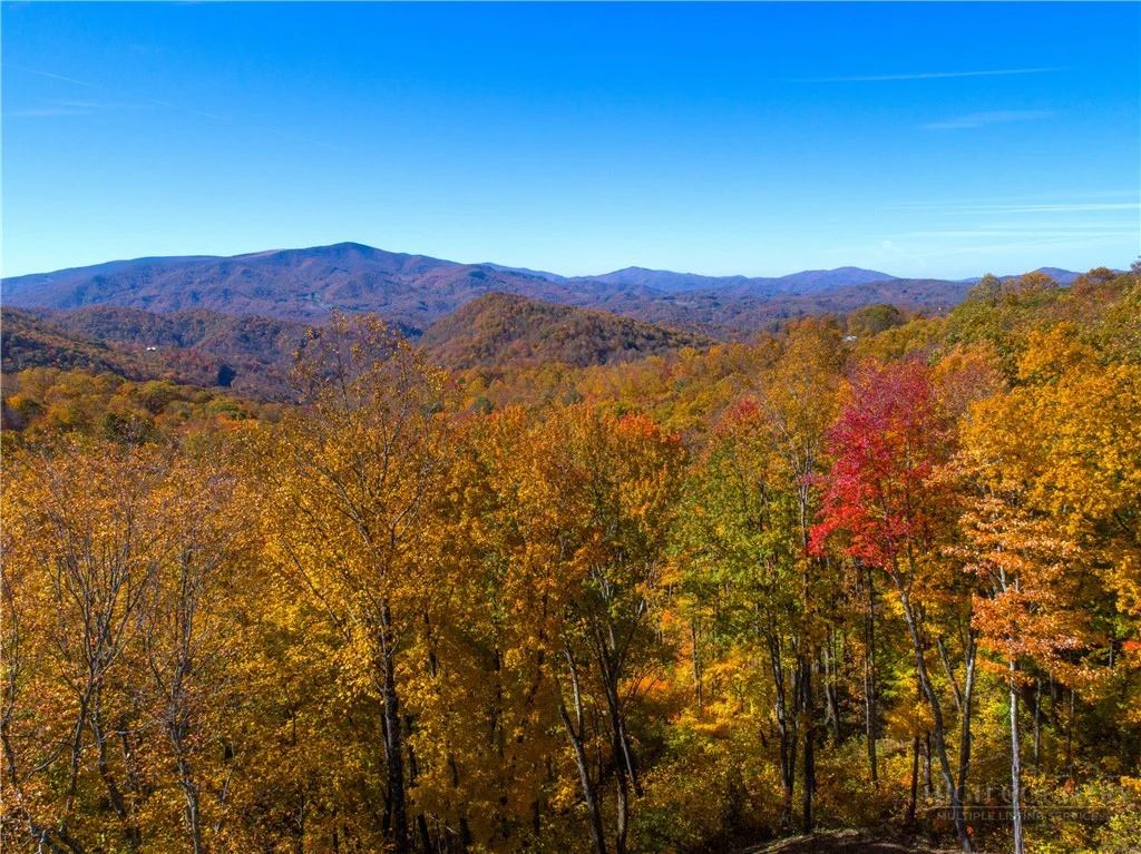 Image number 1 for the current listing
