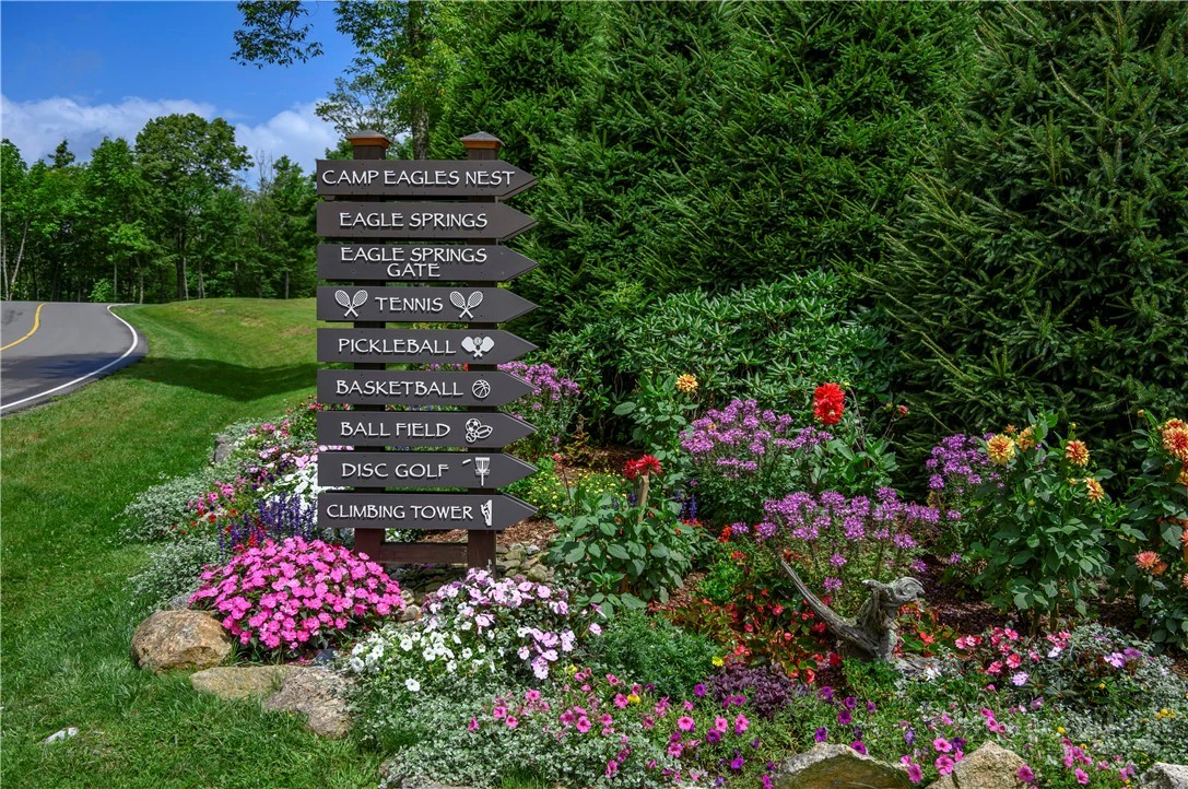 Image number 2 for the current listing