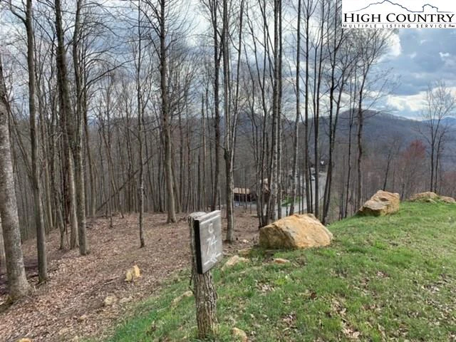Image number 1 for the current listing