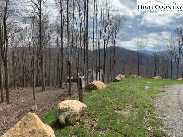 Image number 6 for the current listing