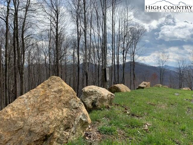Image number 7 for the current listing